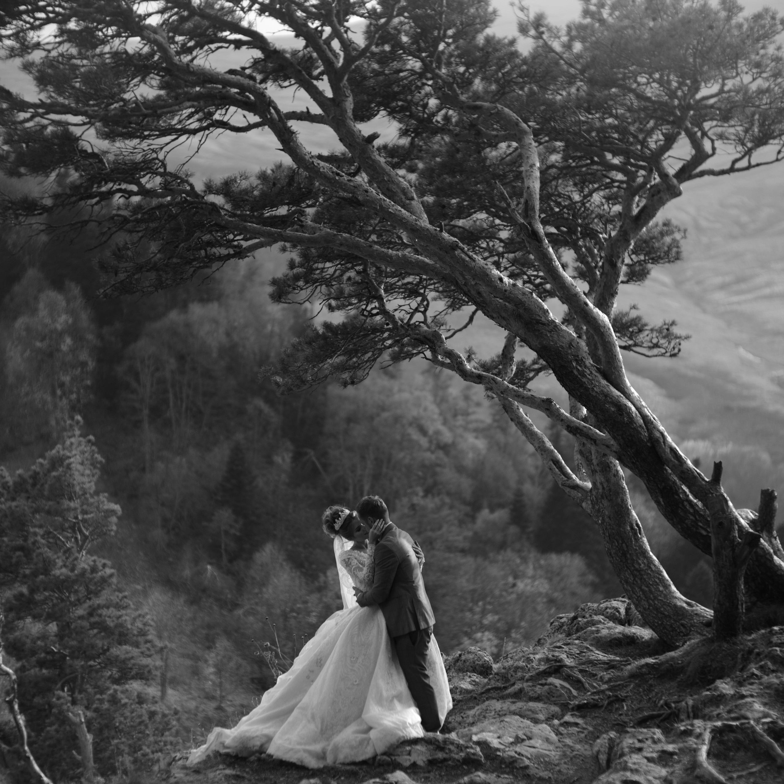 Фотосессия на краю света. Главная