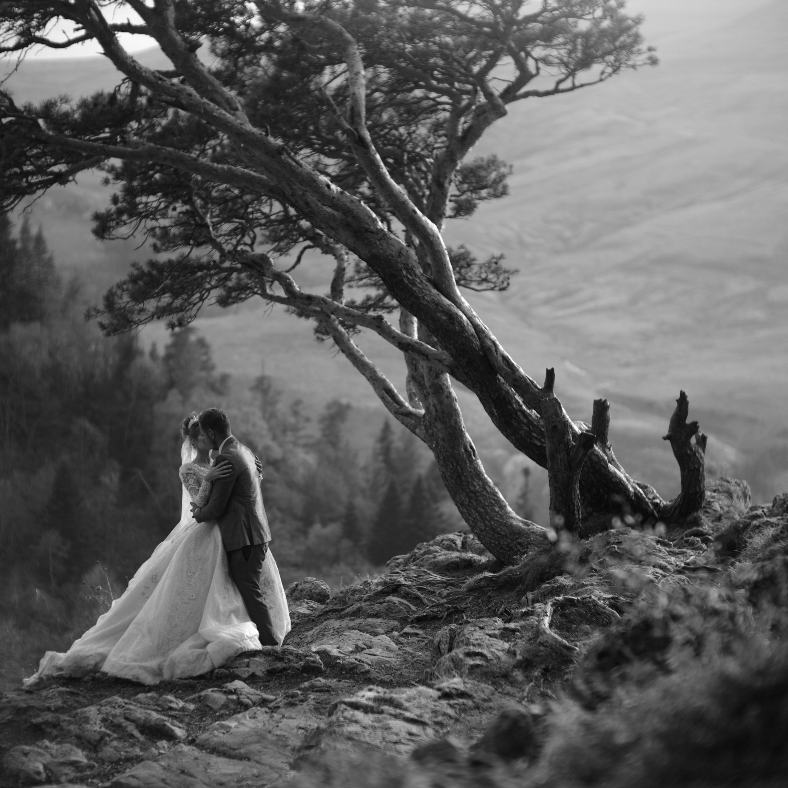 Фотосессия на краю света. Главная