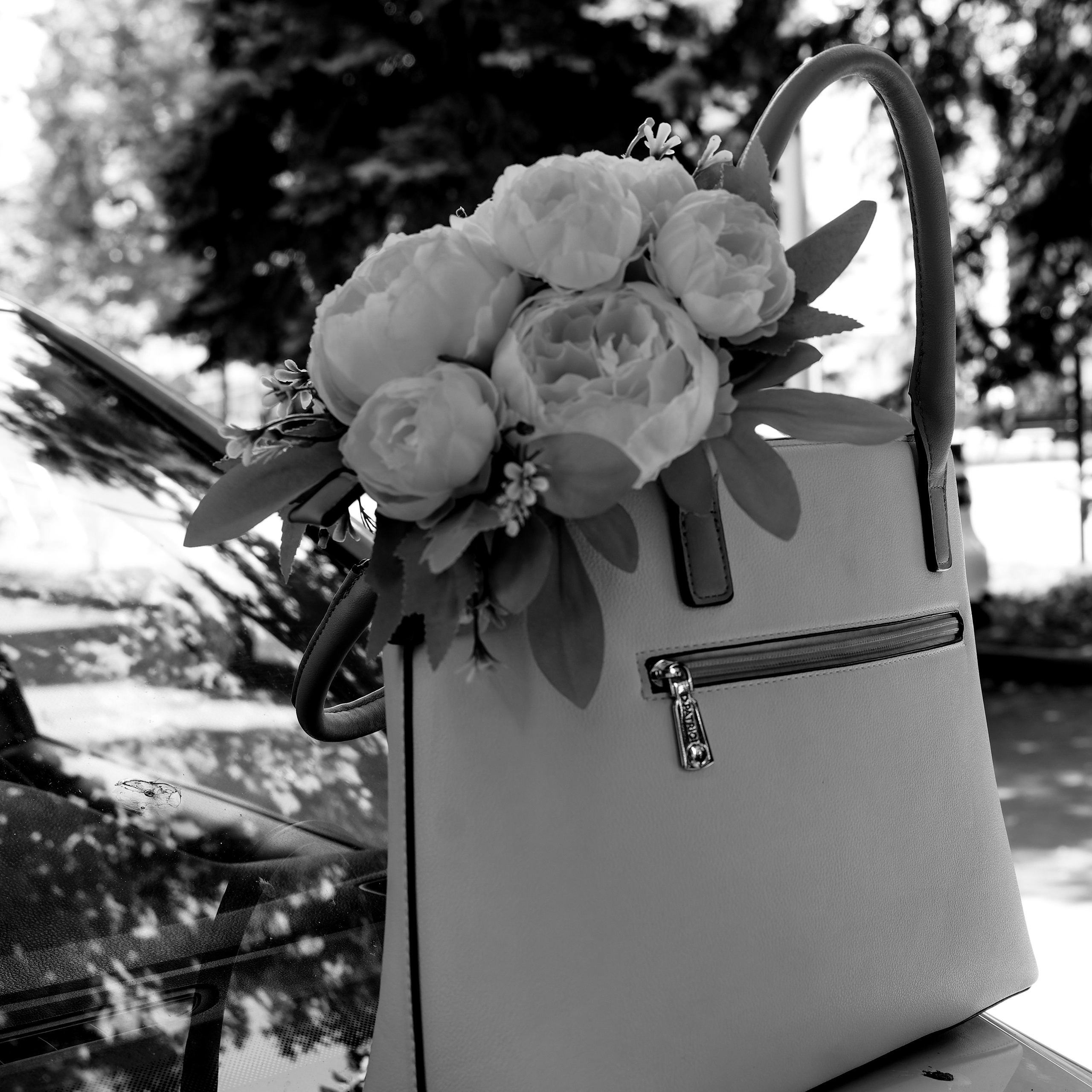 Александр и Венера. Главная