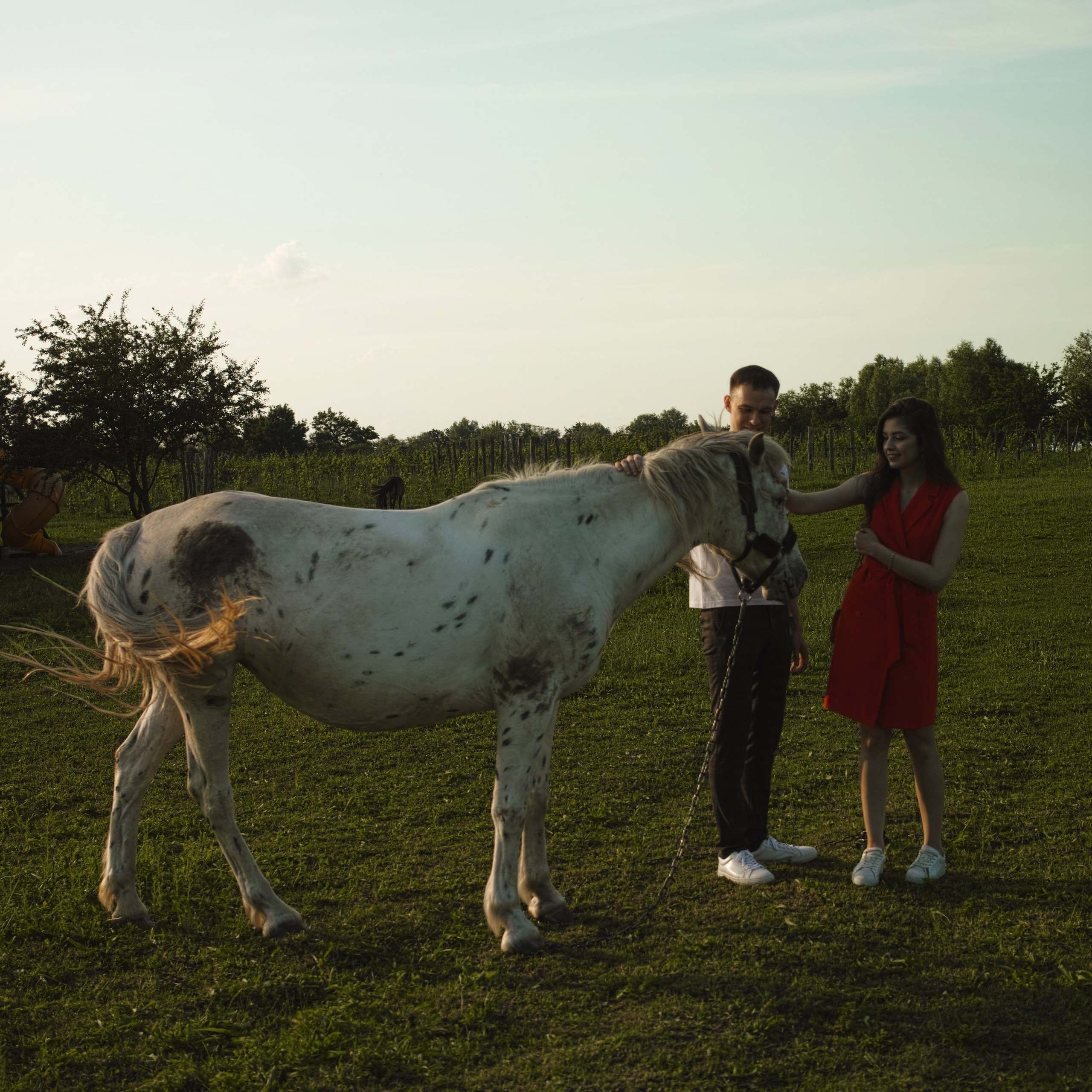 Денис и Алёна. Главная