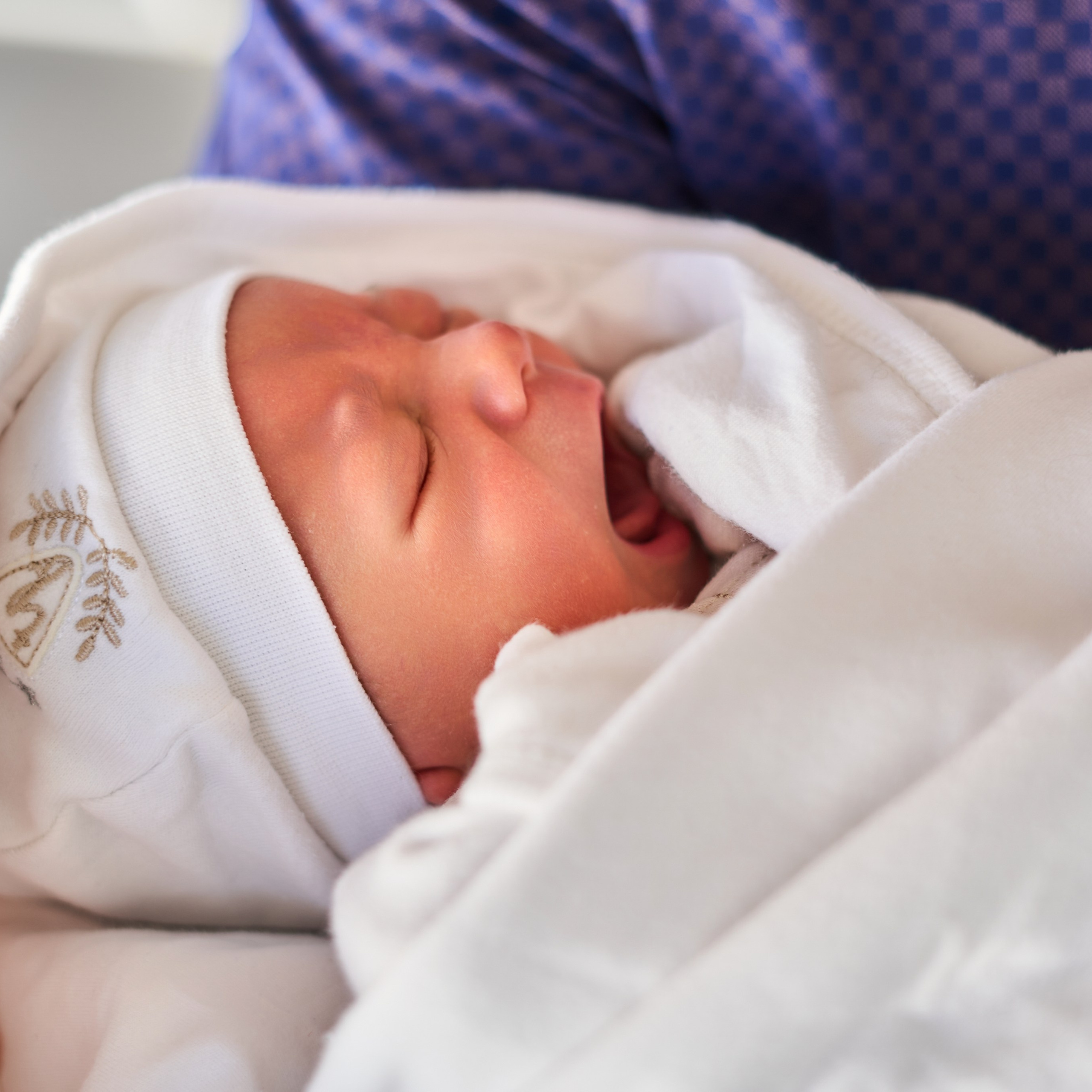 20 апреля 2025. Главная