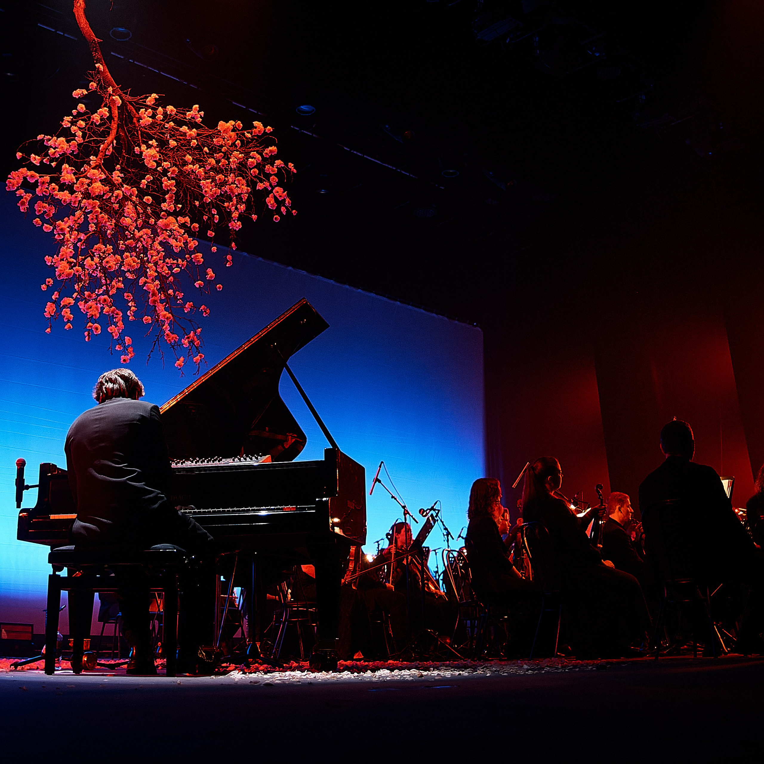 Nikola Melnikov / 2024