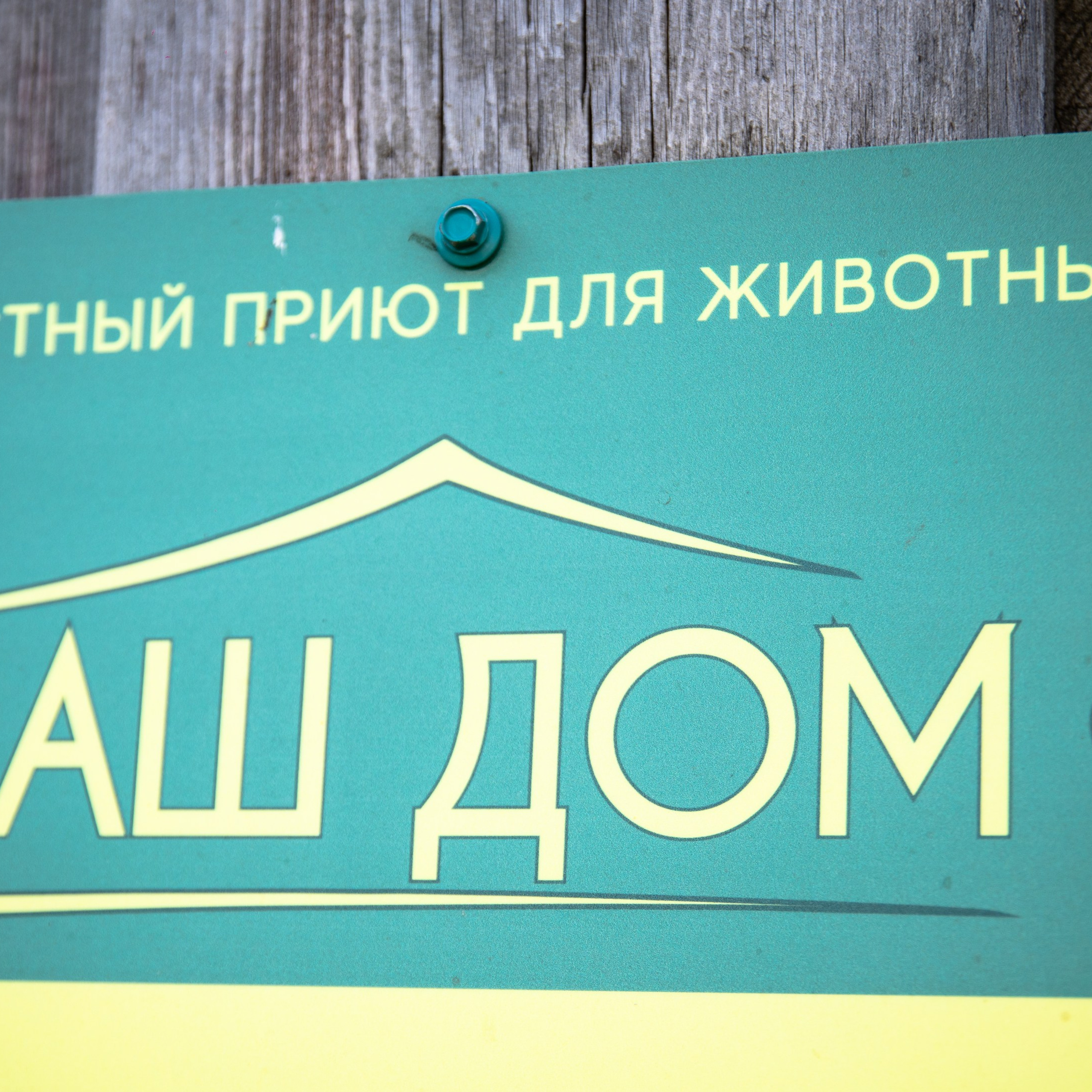 Приют — Наш дом
