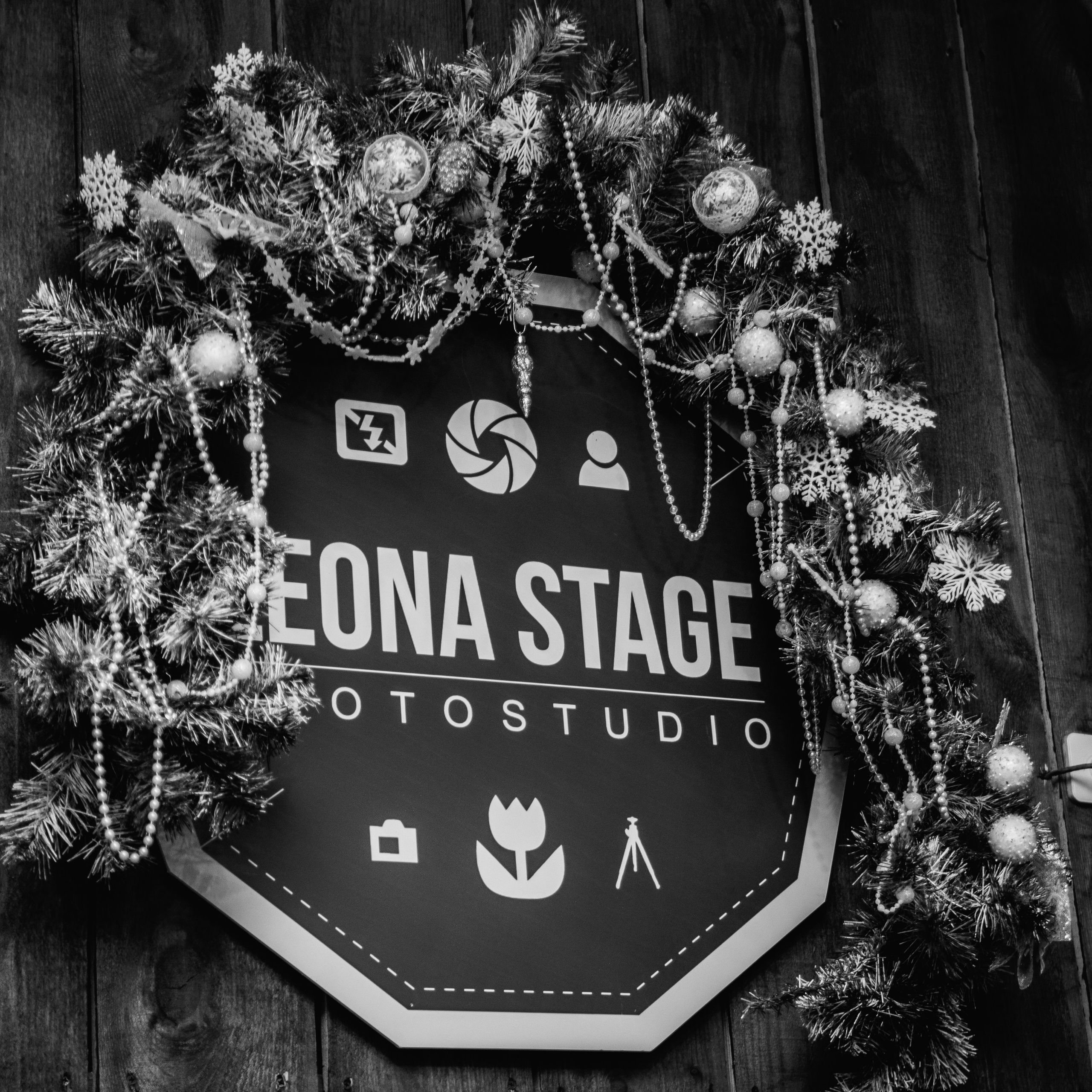 Семейная фотосессия — Дорожкины