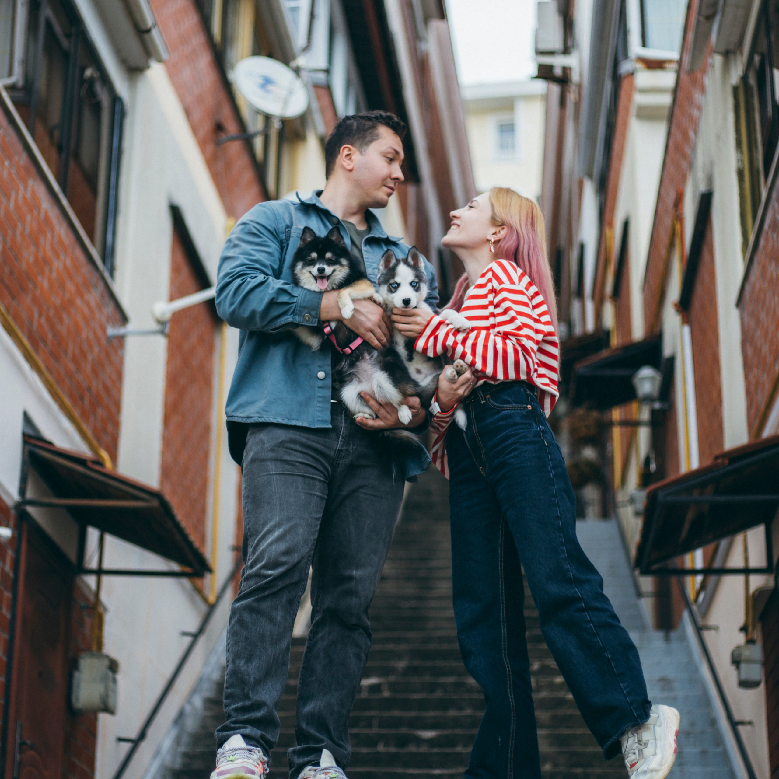 Анна с мужем и собаками @kosach_a