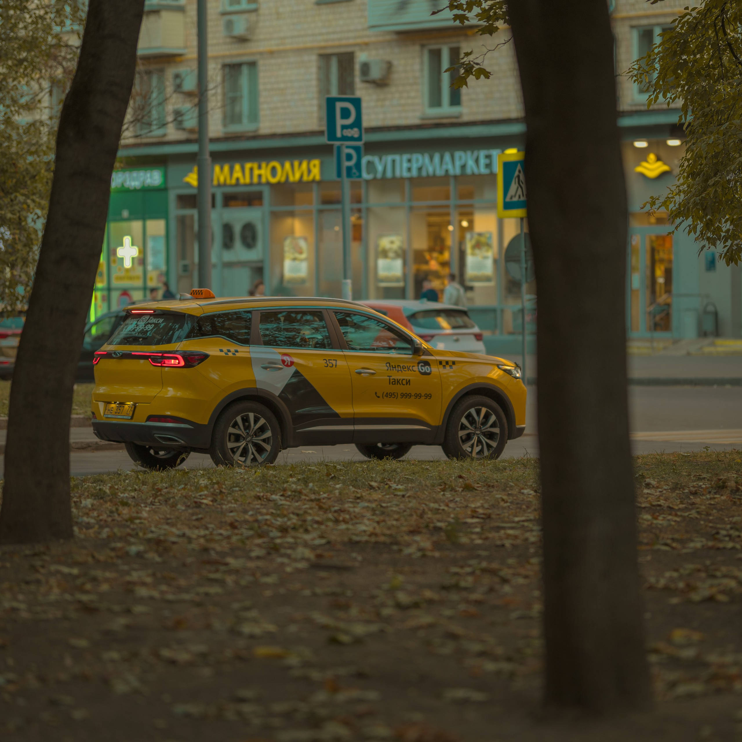 Evening walk, 20/09/2024. Фотограф Денис Болдинов. Москва