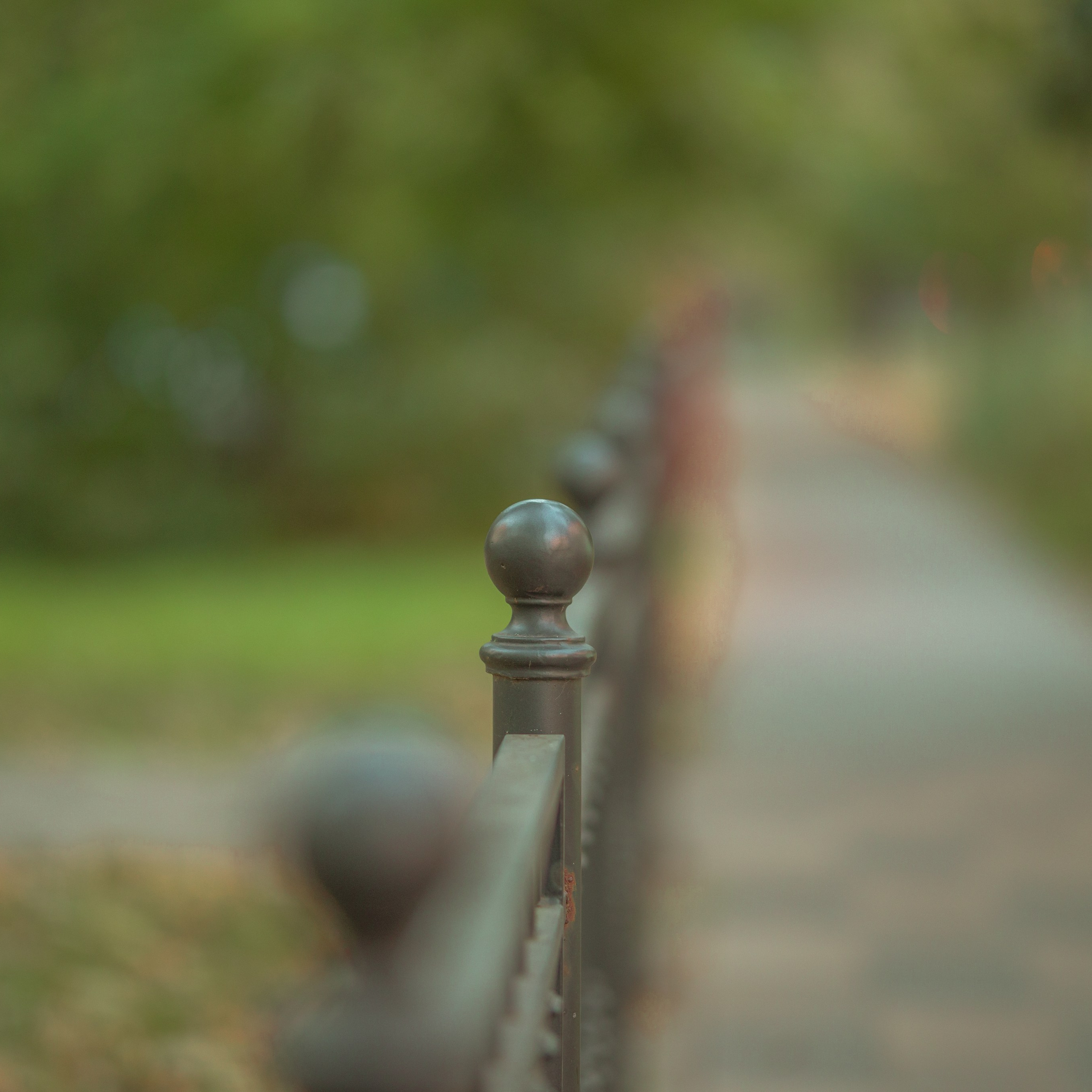 Evening walk, 20/09/2024. Фотограф Денис Болдинов. Москва