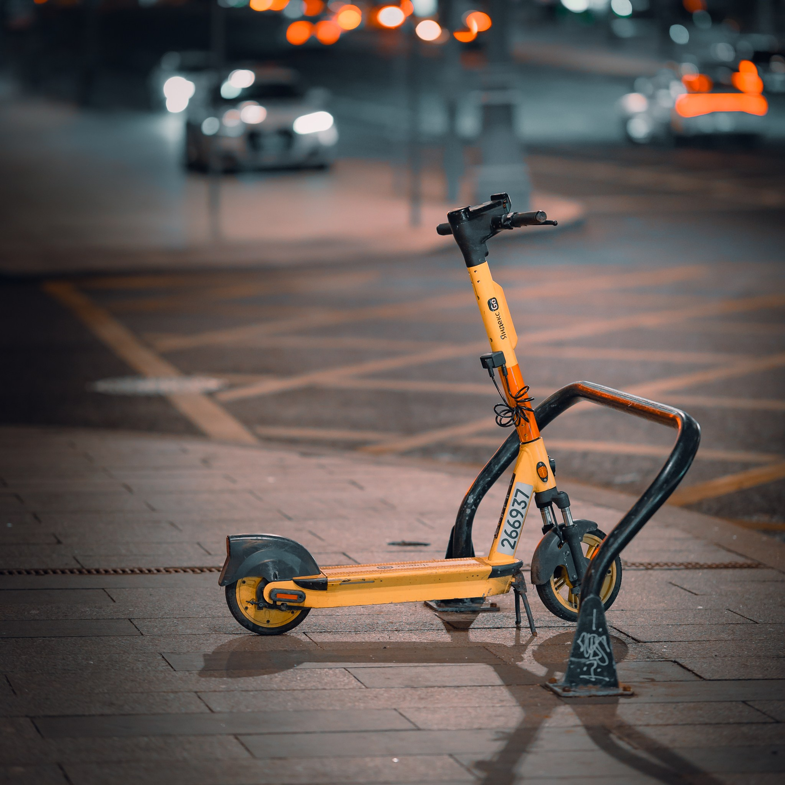 Прогулка, Москва, 11.2024. Фотограф Денис Болдинов. Москва