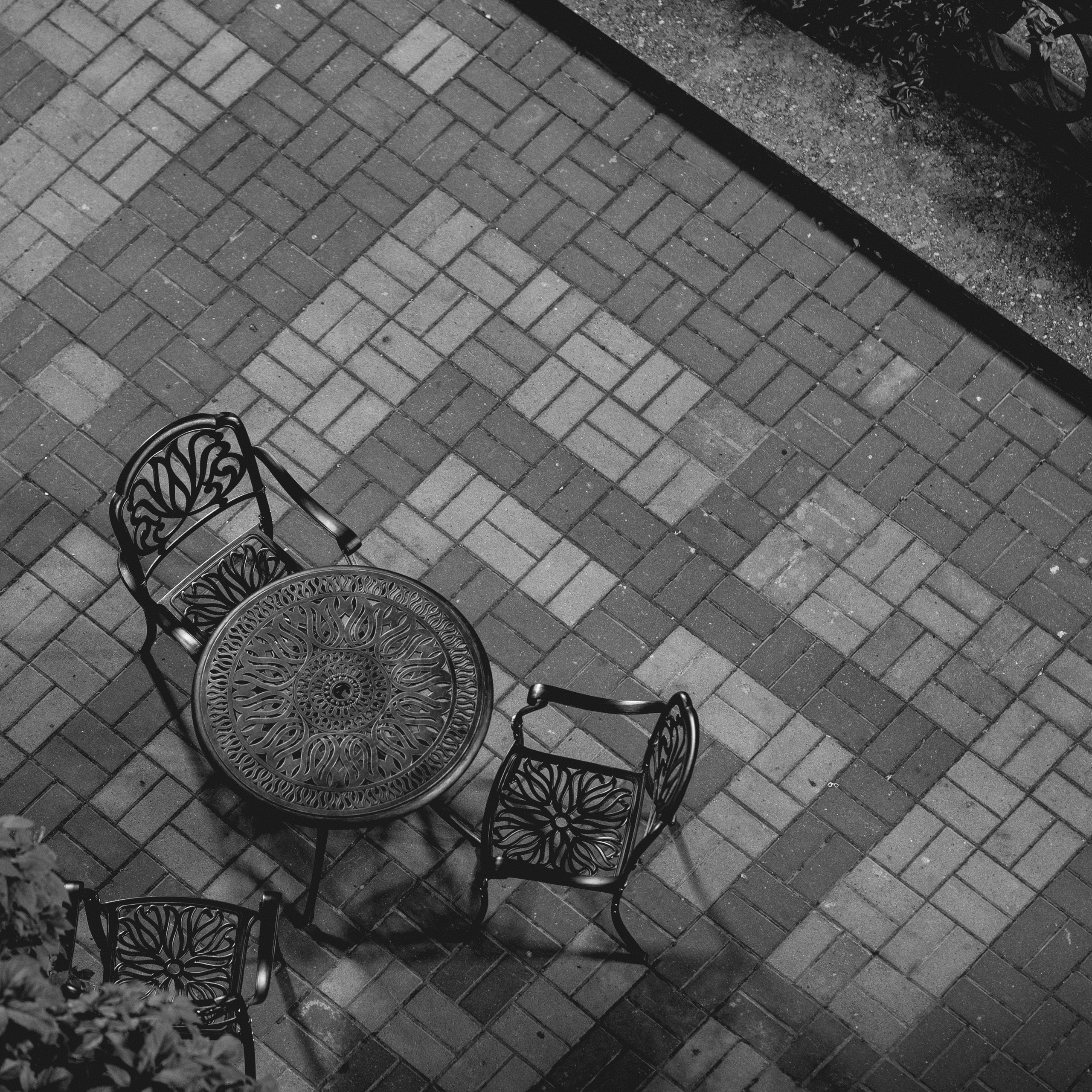 Evening walk, 20/09/2024. Фотограф Денис Болдинов. Москва