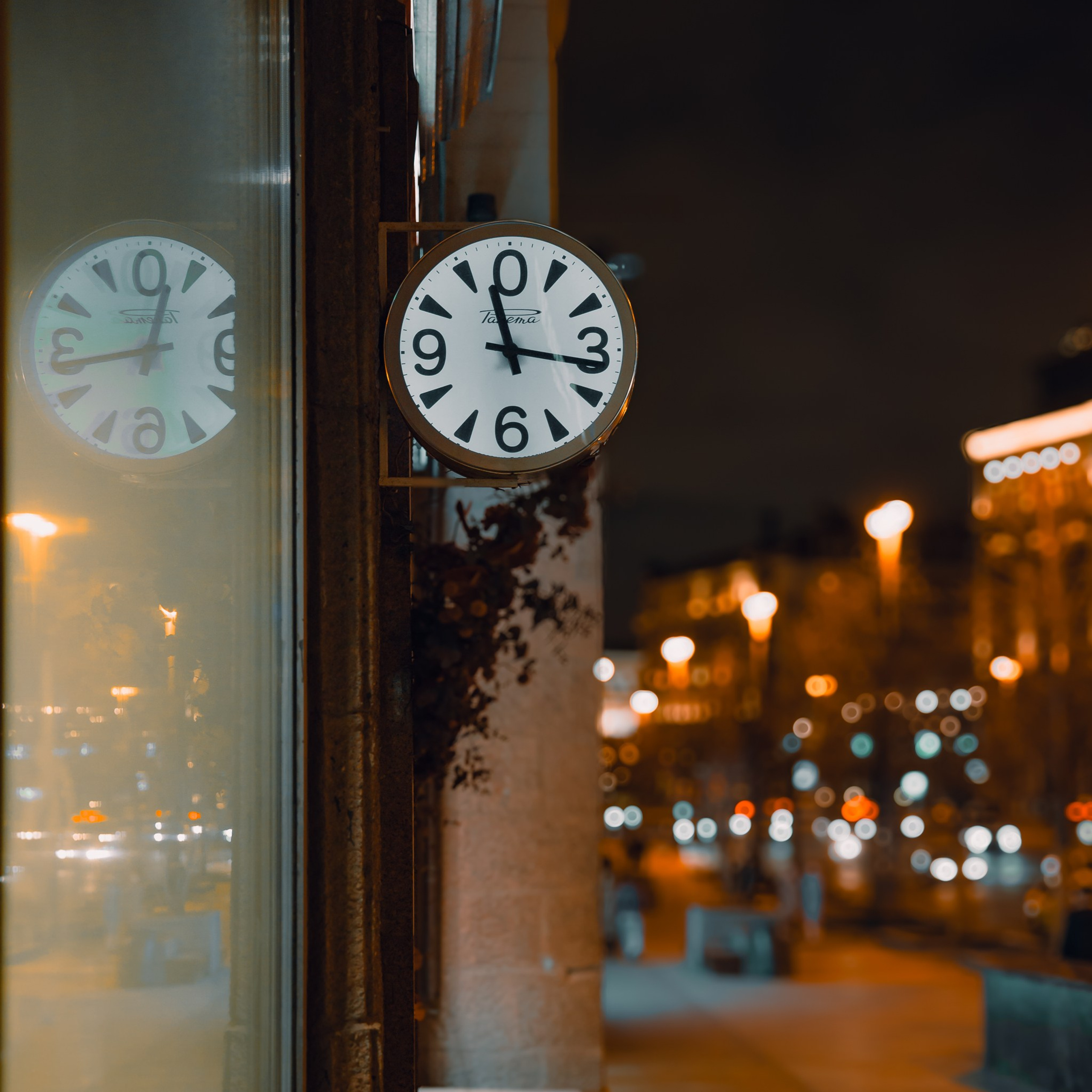 Прогулка, Москва, 11.2024. Фотограф Денис Болдинов. Москва