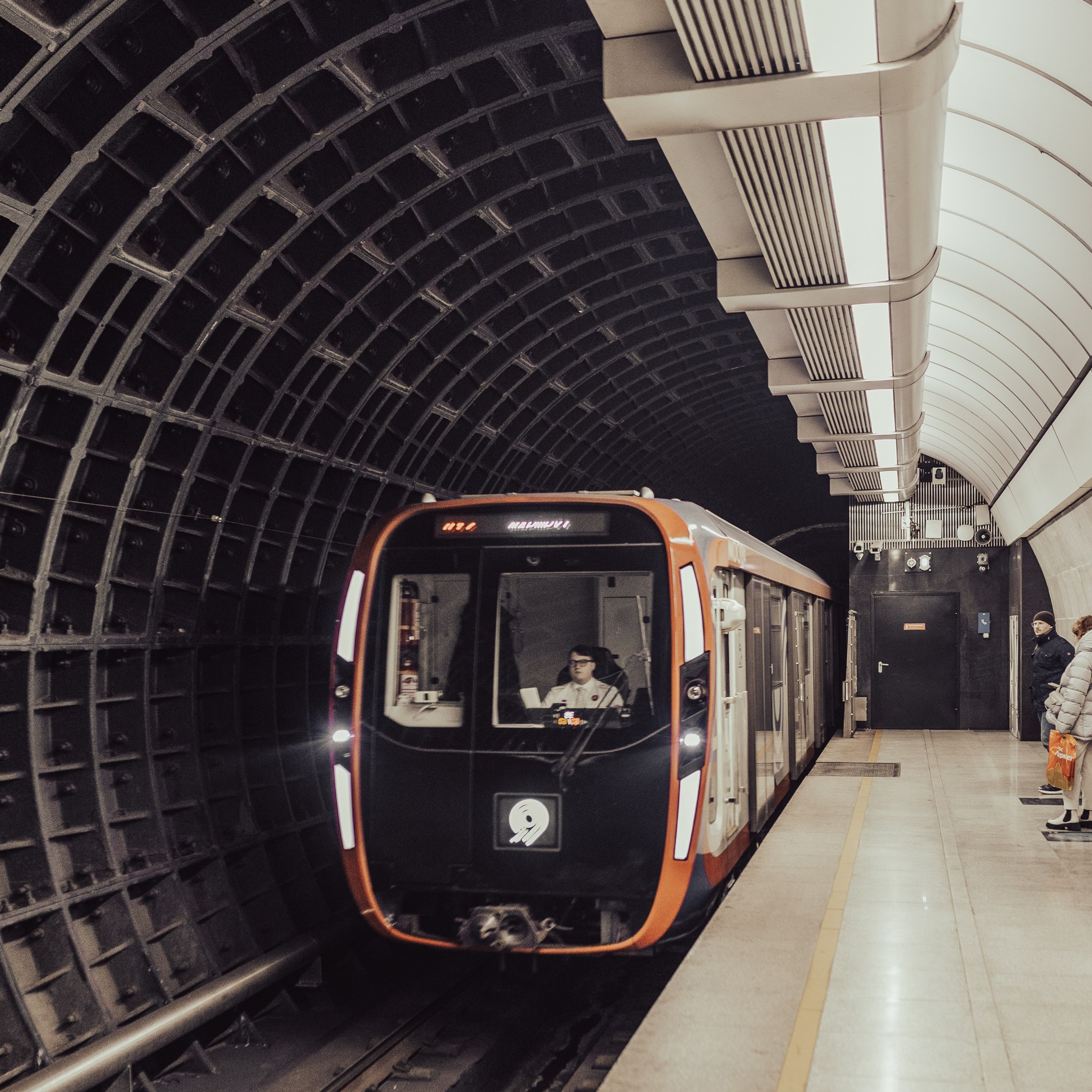 Прогулка, Москва, 11.2024. Фотограф Денис Болдинов. Москва