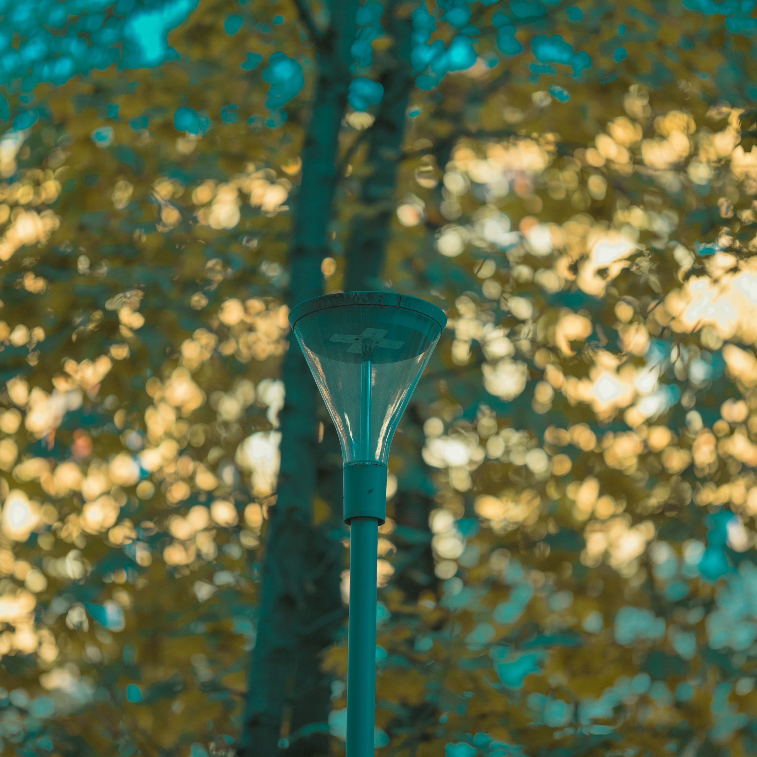 Evening walk, 20/09/2024. Фотограф Денис Болдинов. Москва