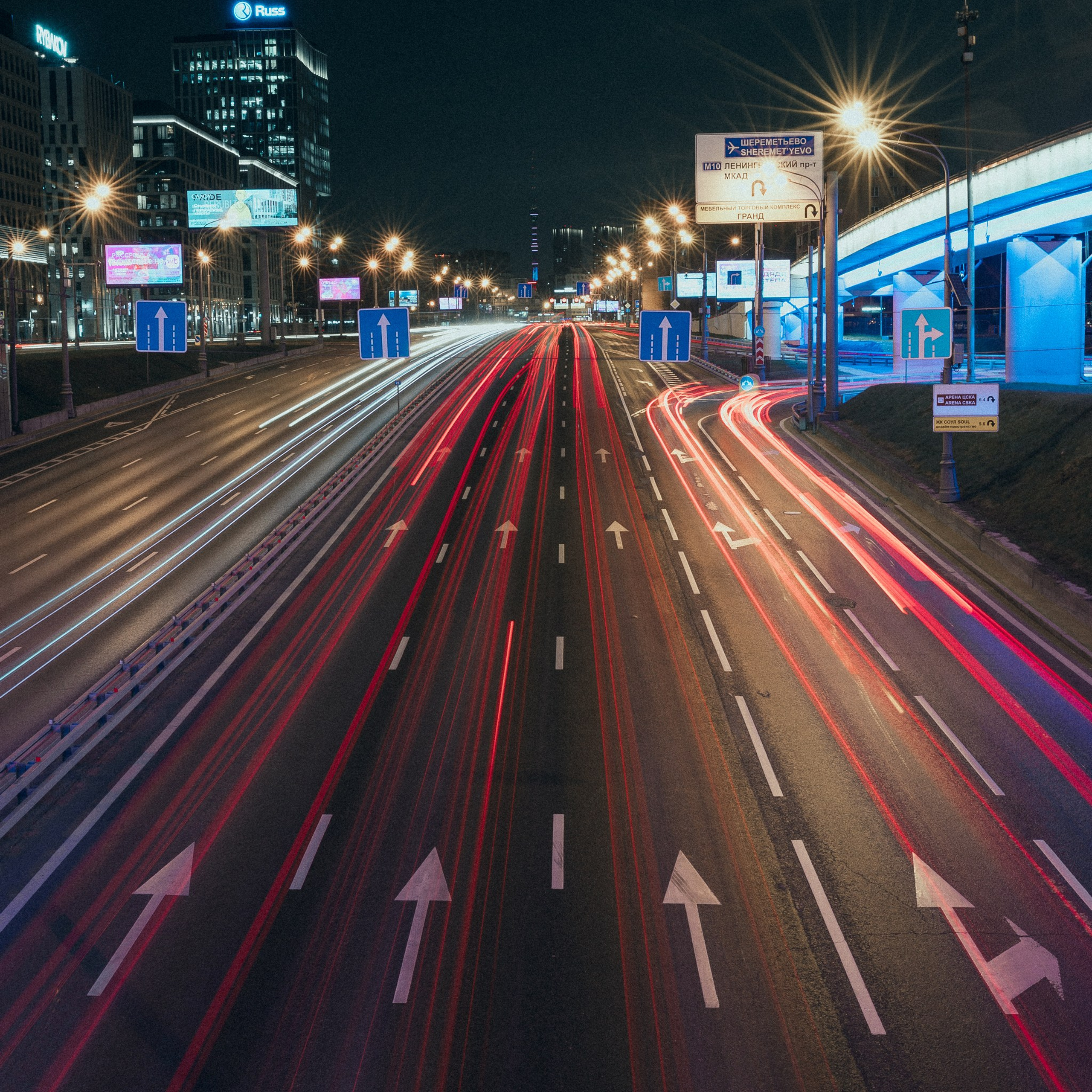 Прогулка, Москва, 11.2024. Фотограф Денис Болдинов. Москва