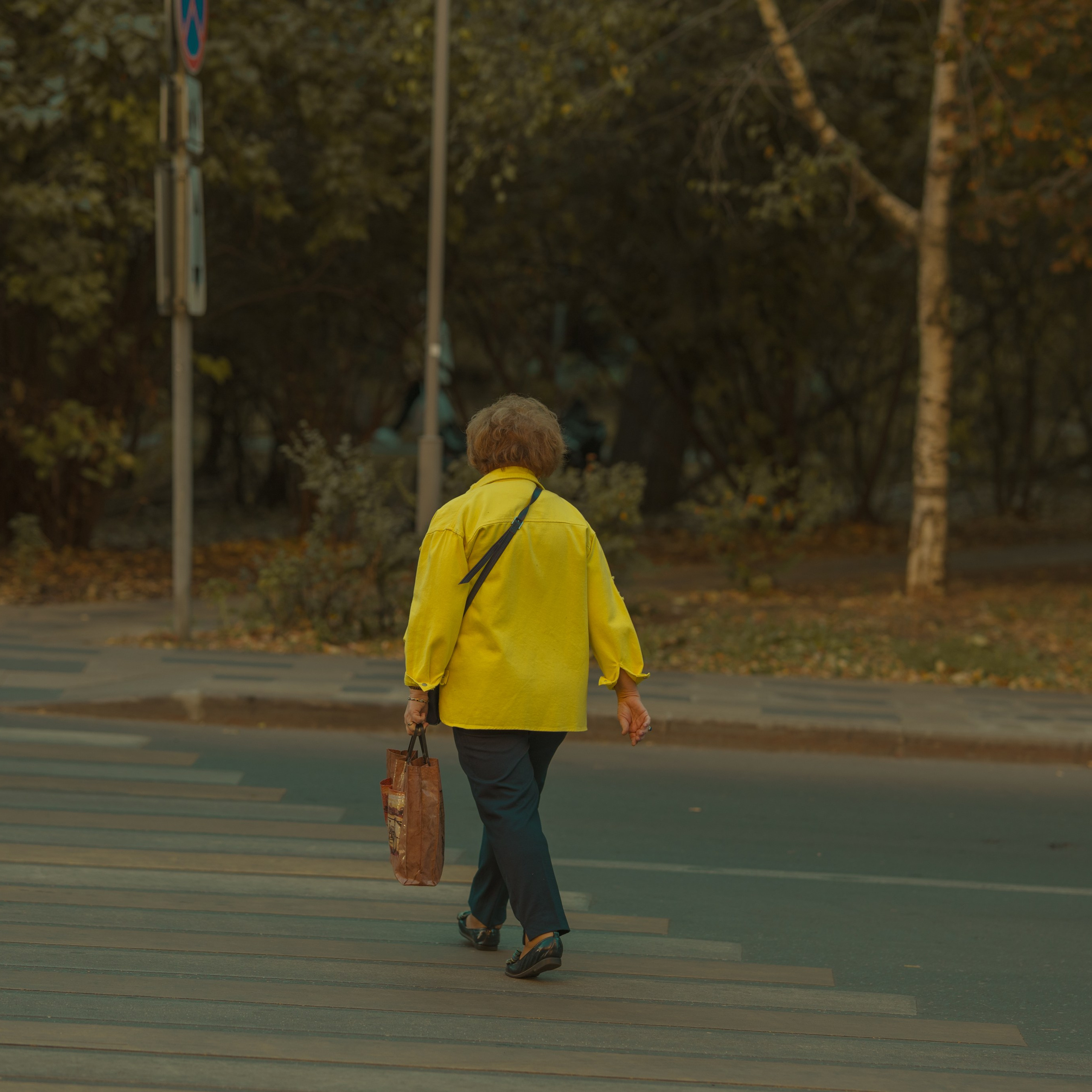 Evening walk, 20/09/2024. Фотограф Денис Болдинов. Москва