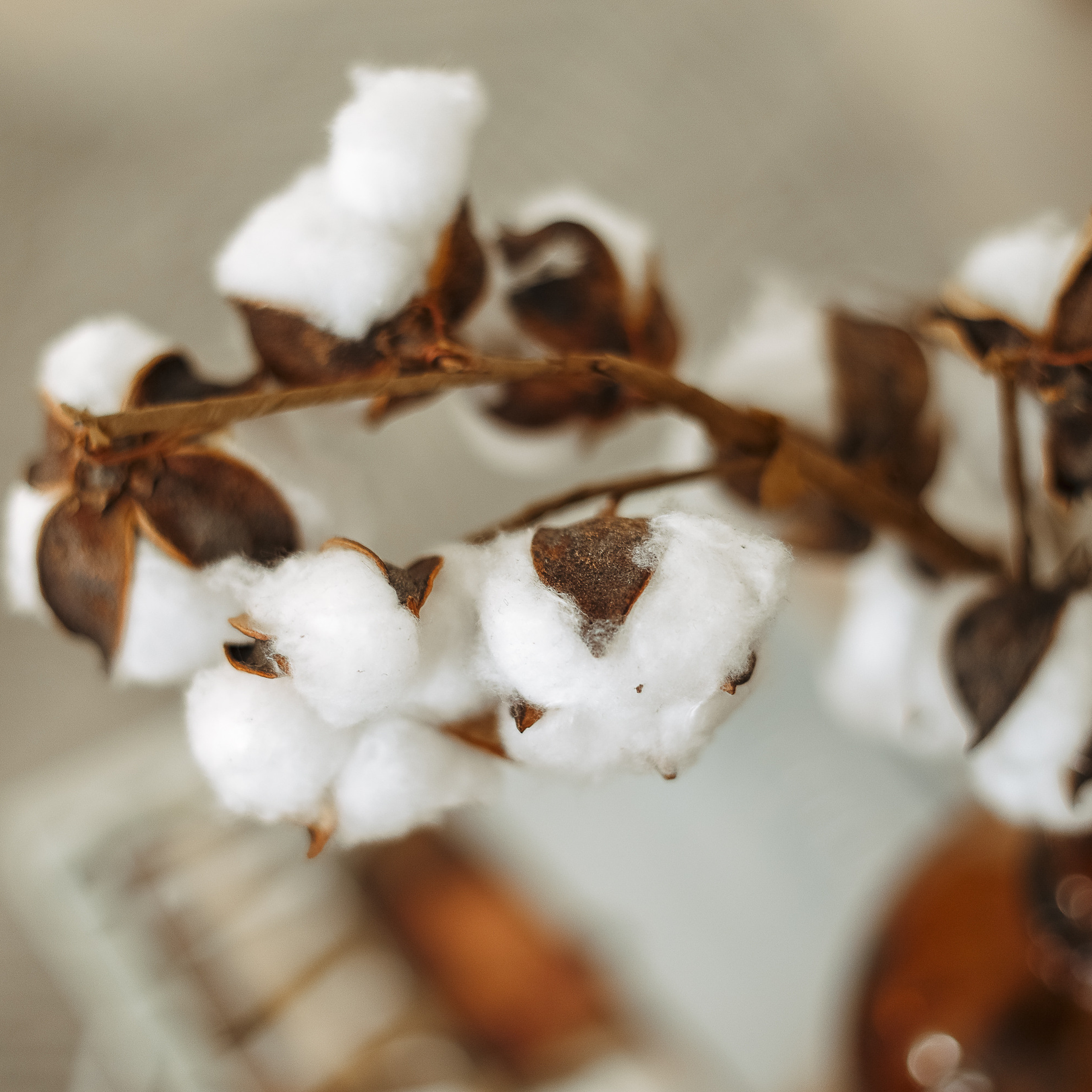 Контент съемка. Портфолио. Свадебный фотограф Варшава Лодзь Польша Елена Юцова