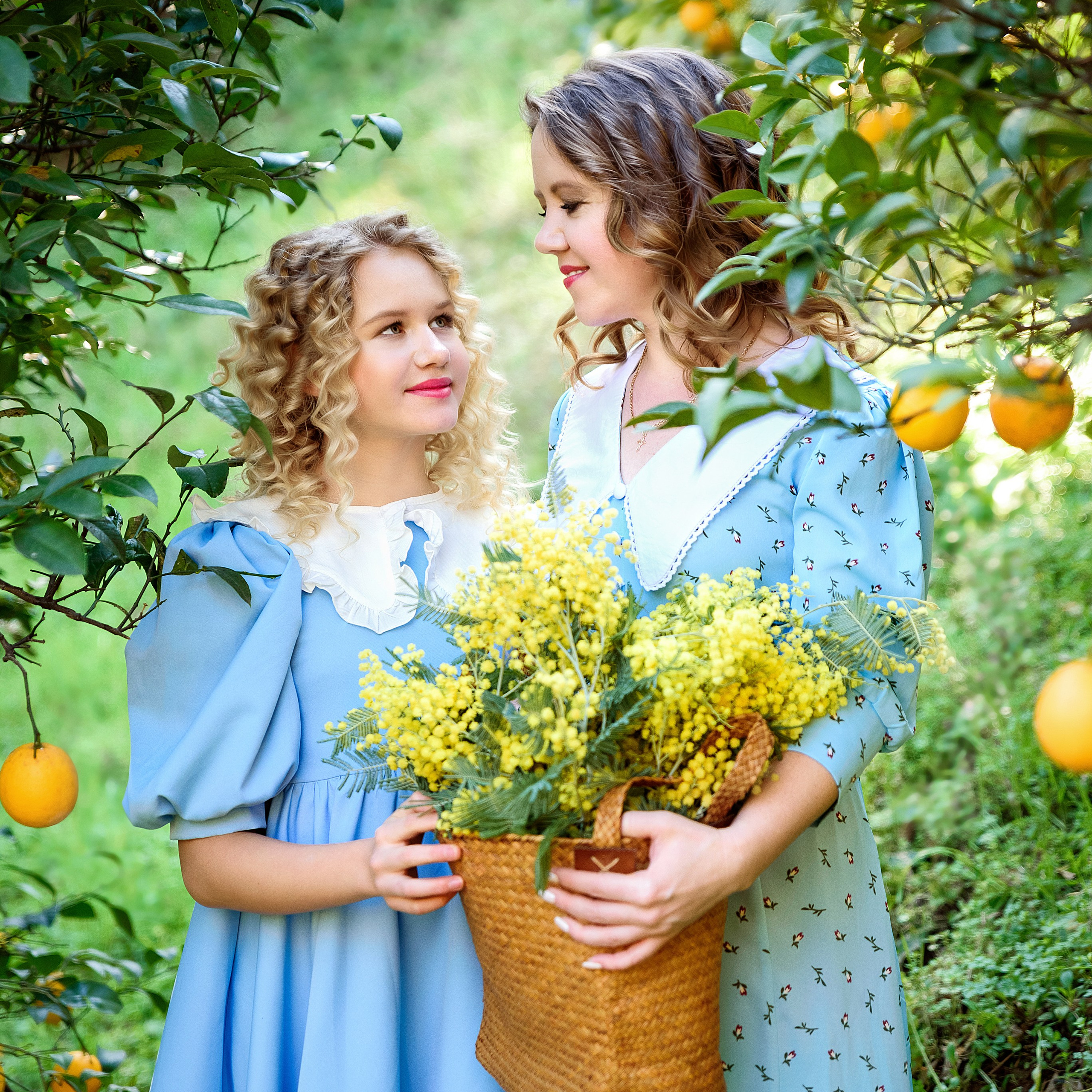 Мандариновая роща