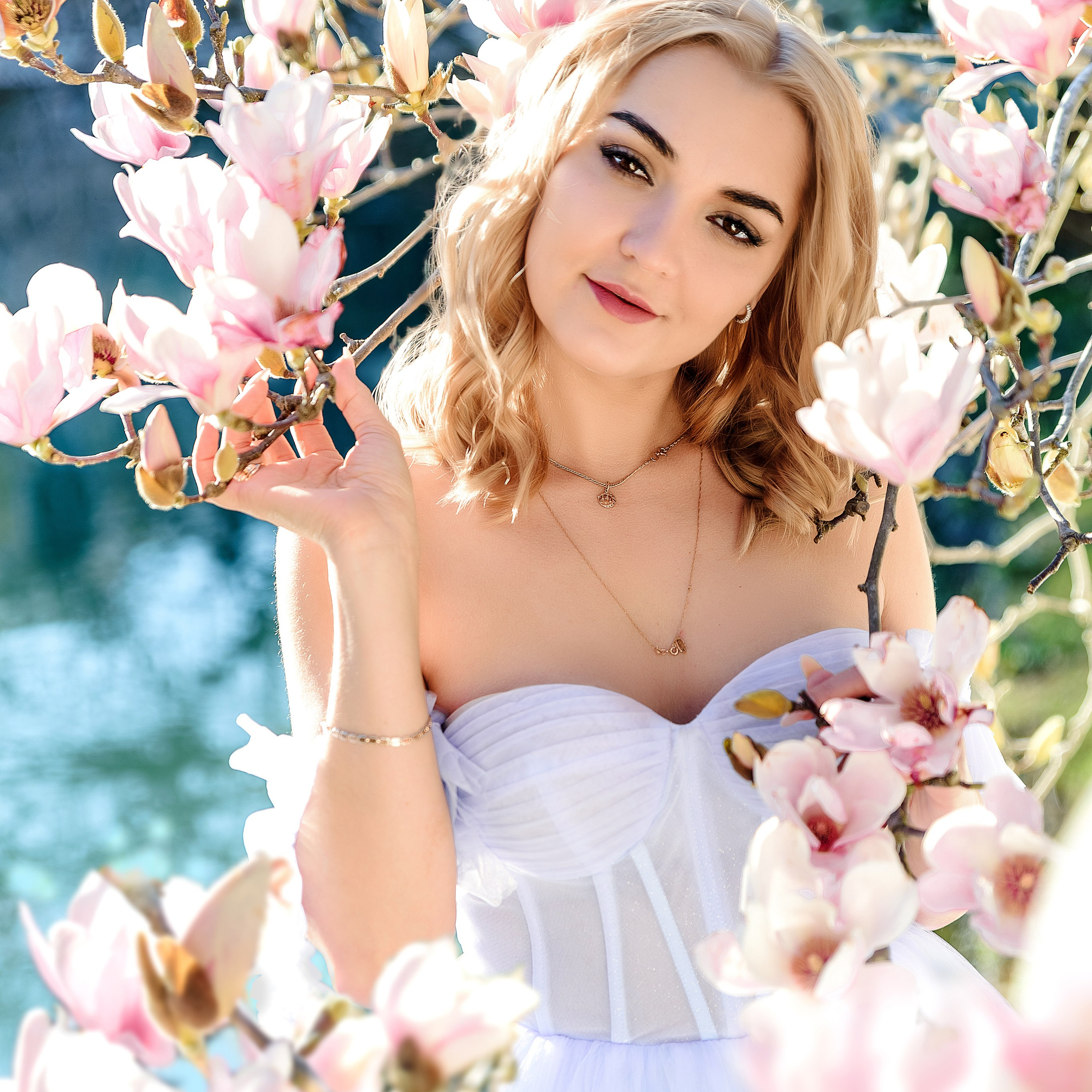 Цветение Магнолии