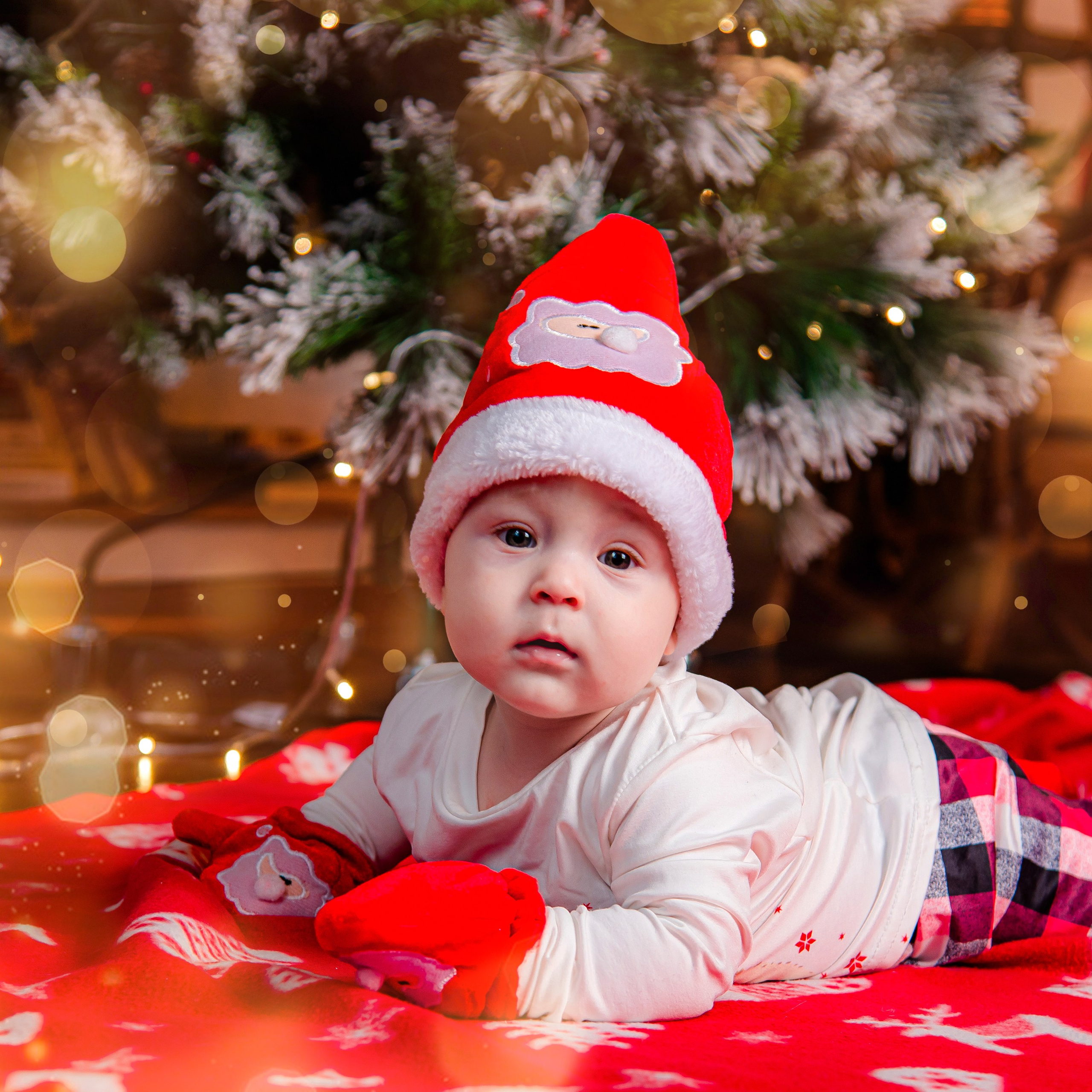 Отзывы о фотографе Карине Кирпичниковой. Семейный и свадебный фотограф в Уфе Карина Кирпичникова