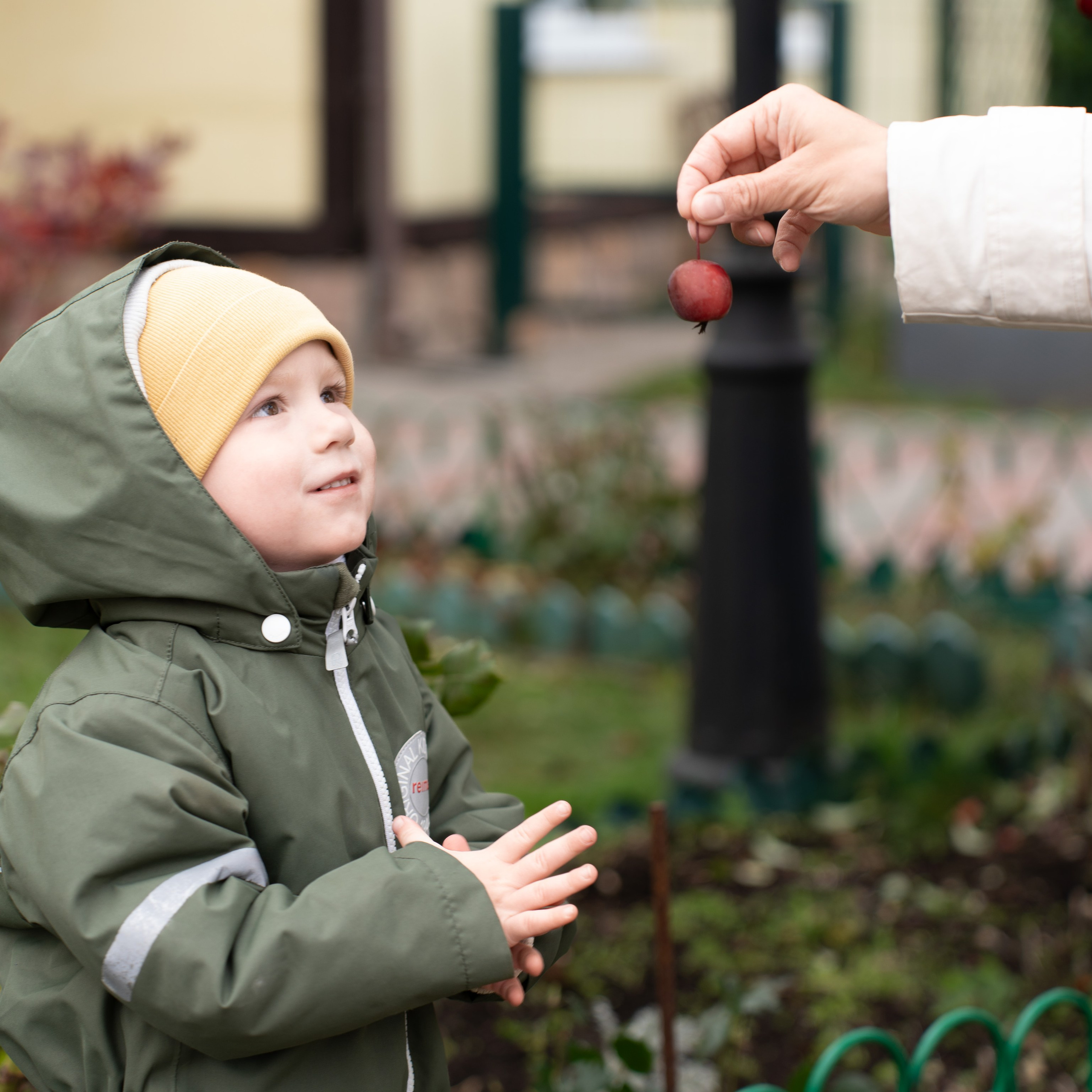 Семейная прогулка в «Токкари-Ленд»