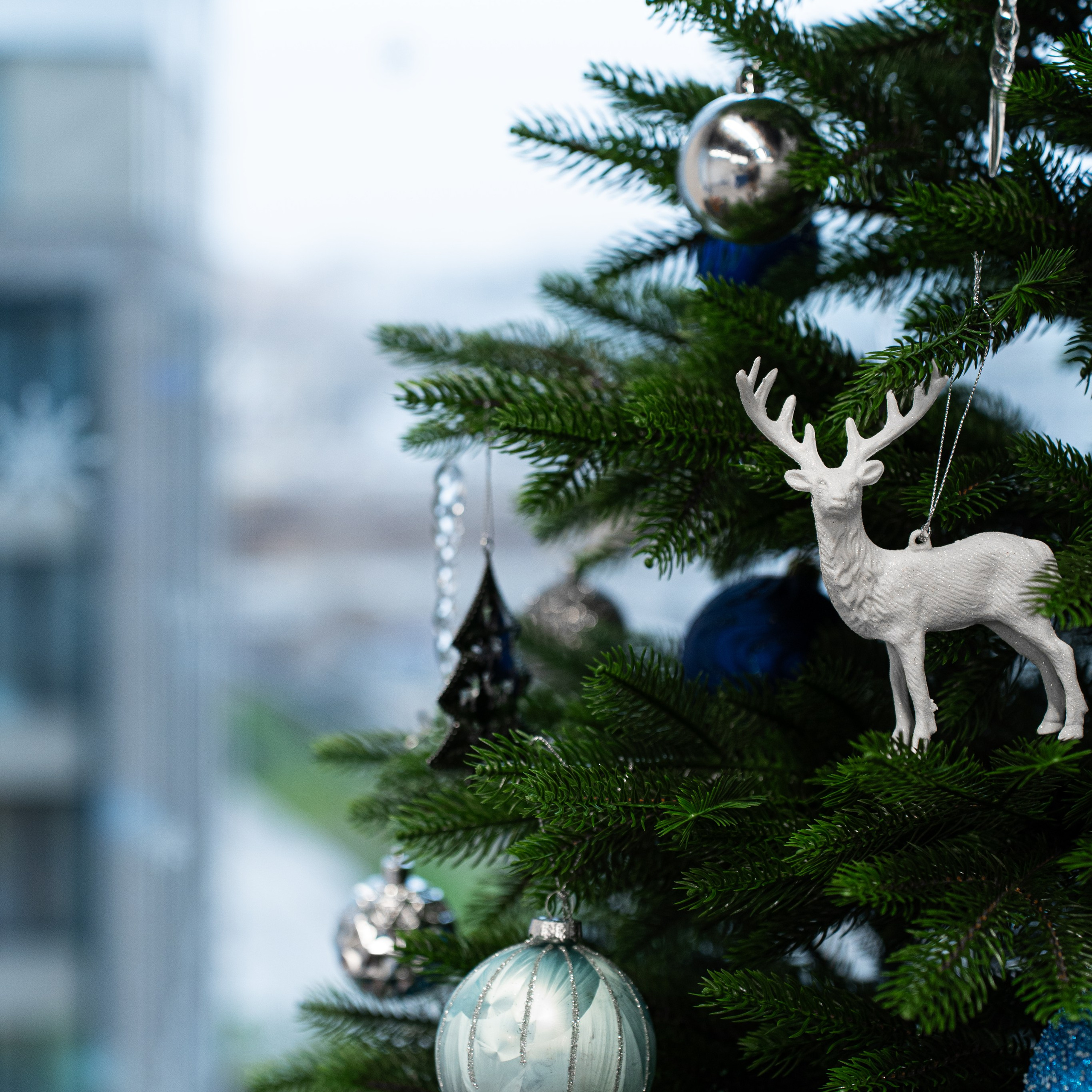 Отзывы. Елена Пашкевич, интерьерные съемки | Москва