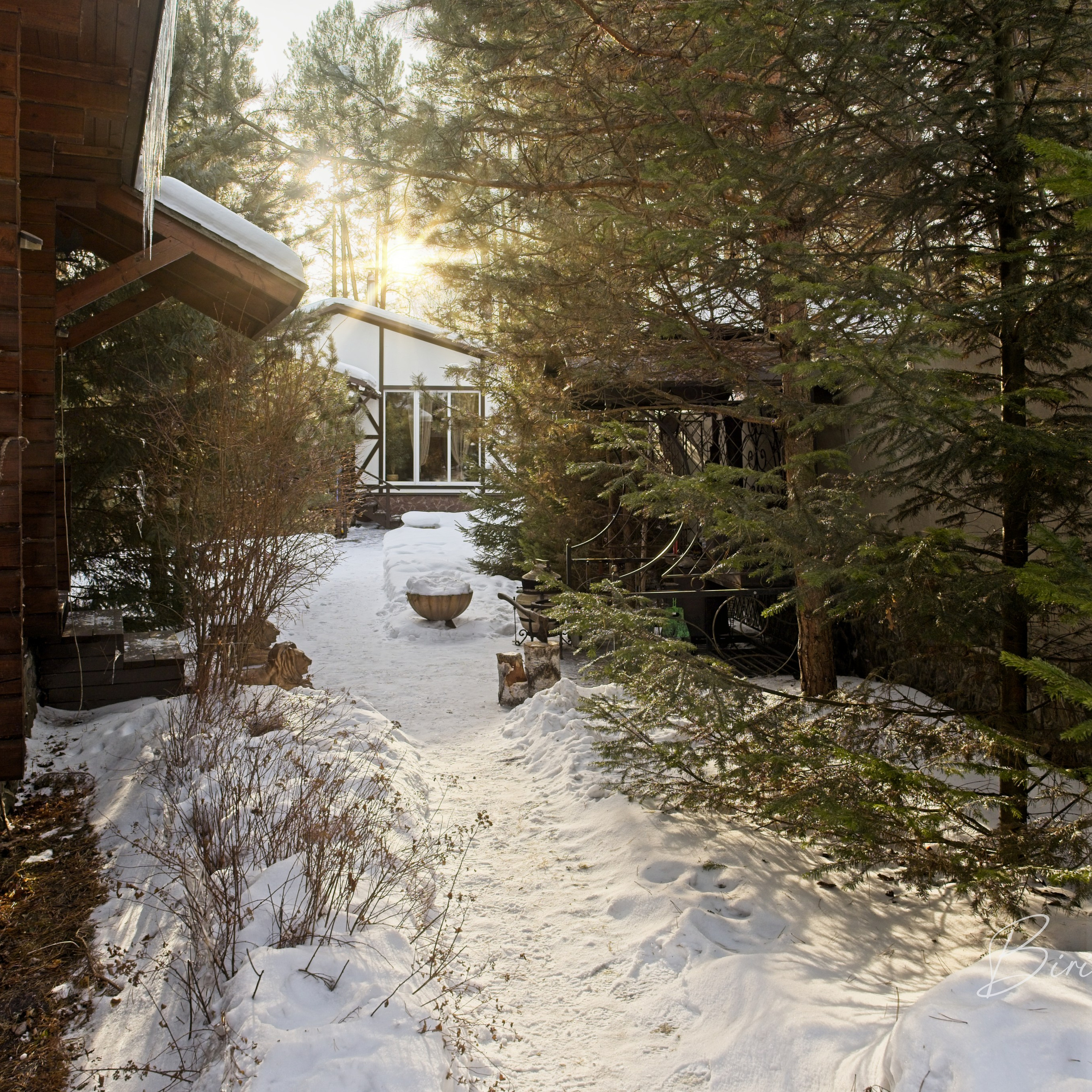 Семейный и интерьерный фотограф в Норильске и Красноярске