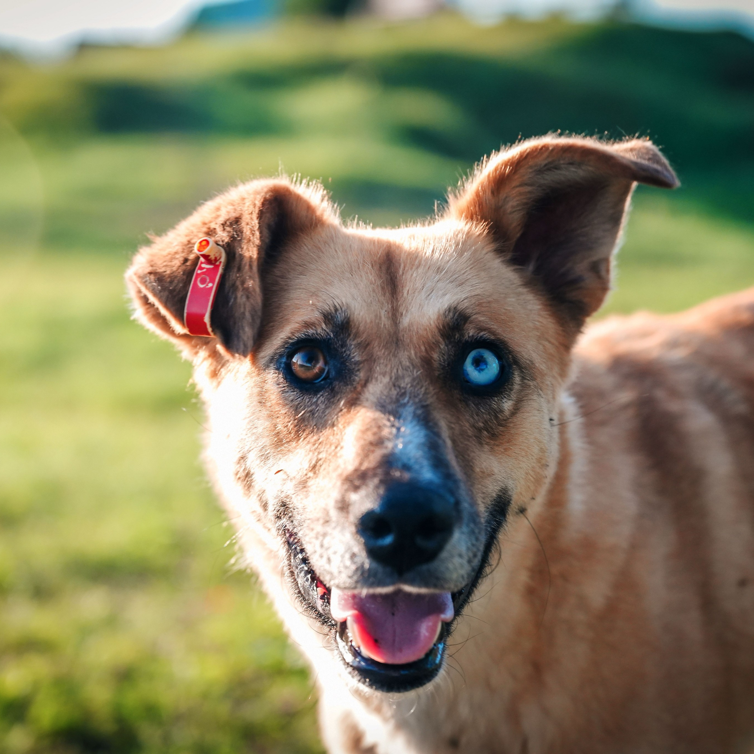 Семейный и интерьерный фотограф в Норильске и Красноярске