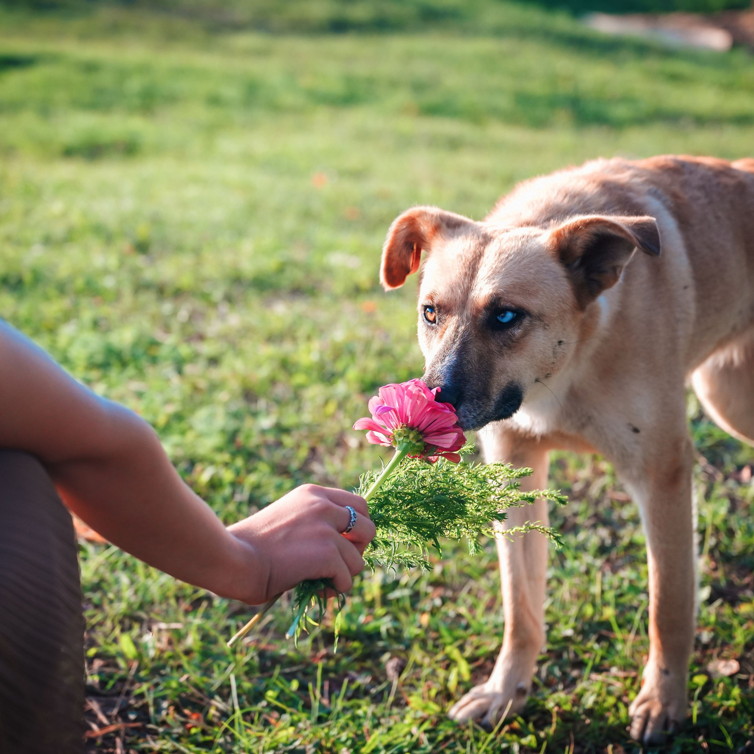 Семейный и интерьерный фотограф в Норильске и Красноярске