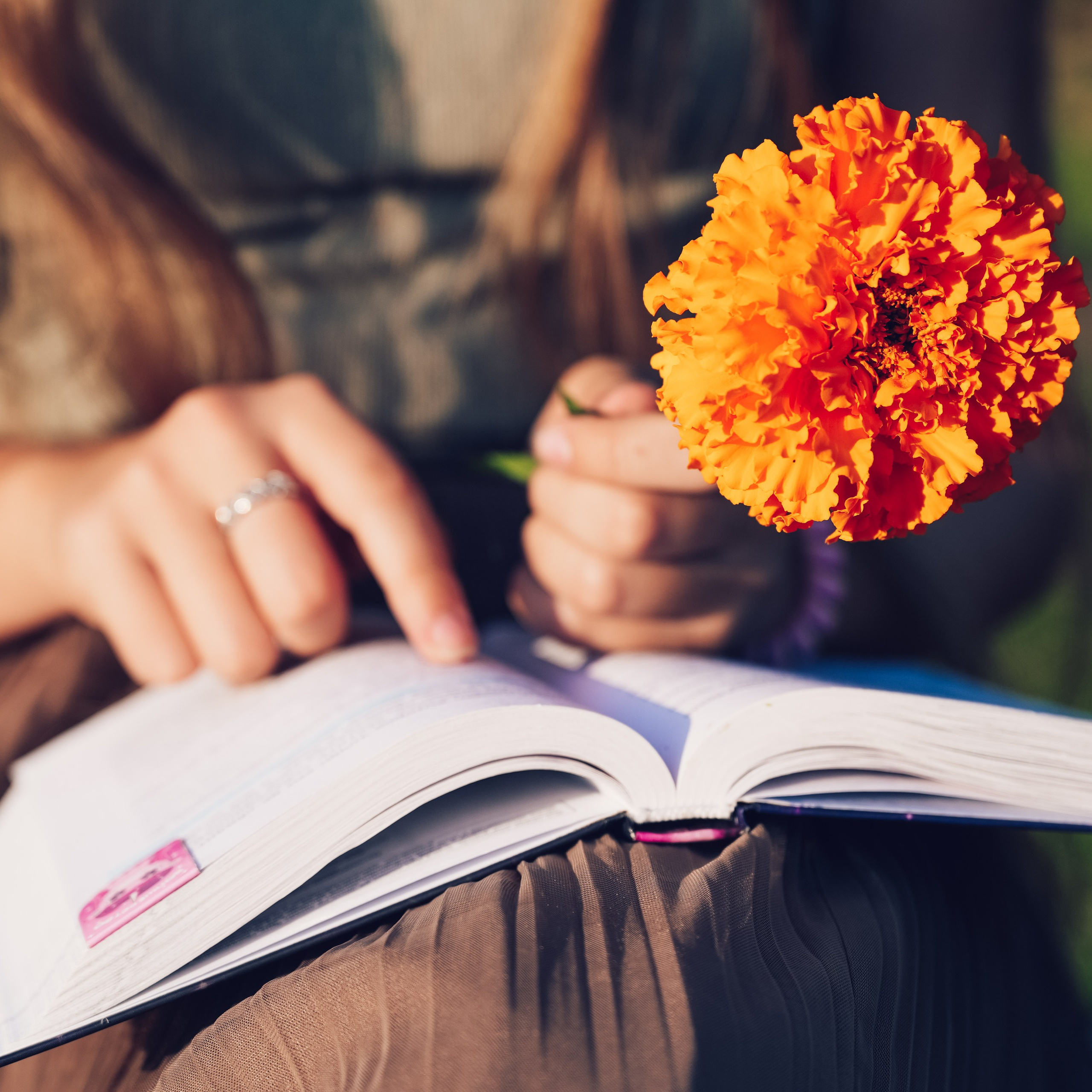 Семейный и интерьерный фотограф в Норильске и Красноярске