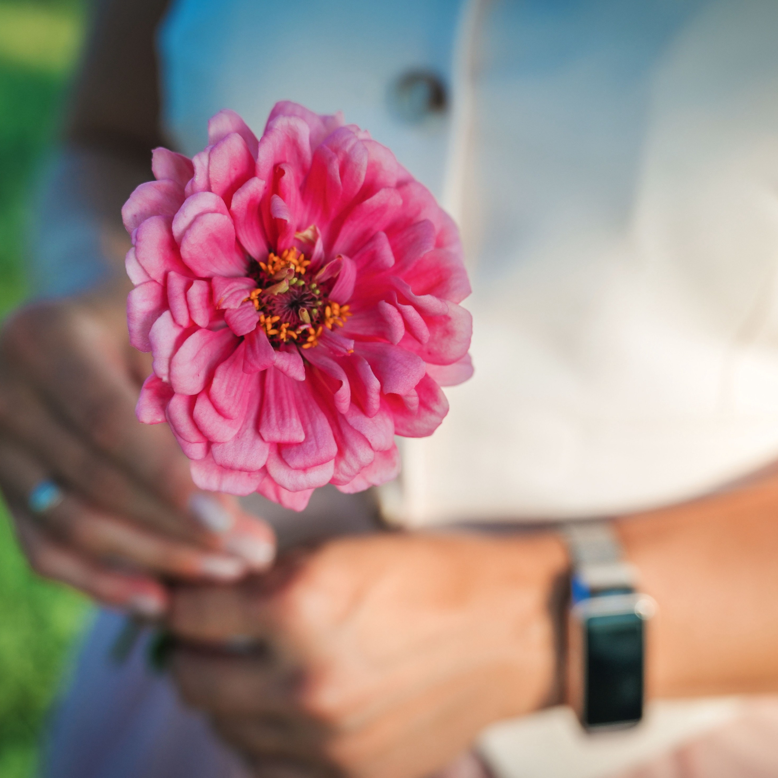 Семейный и интерьерный фотограф в Норильске и Красноярске