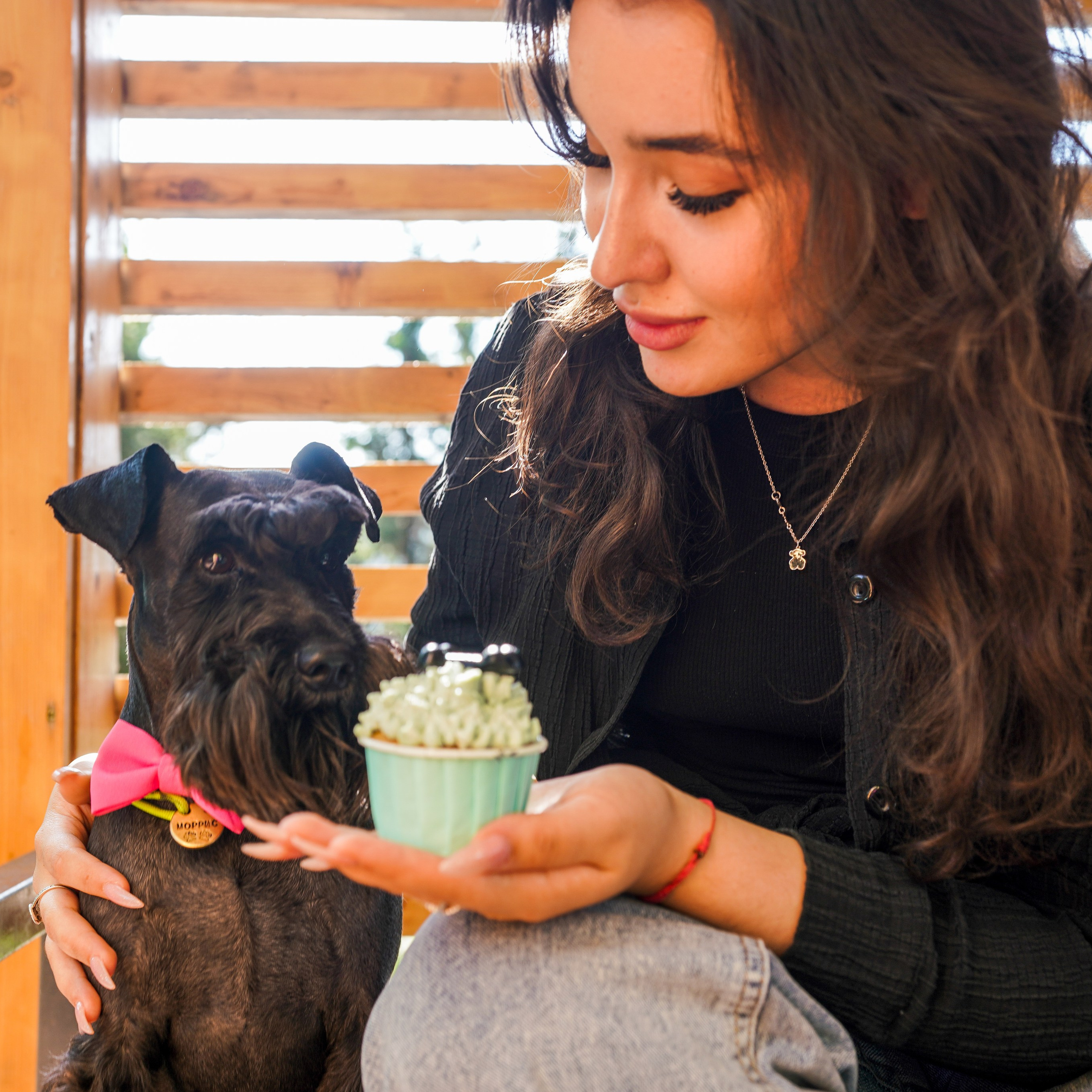 ДР собаки по имени Моррис :)