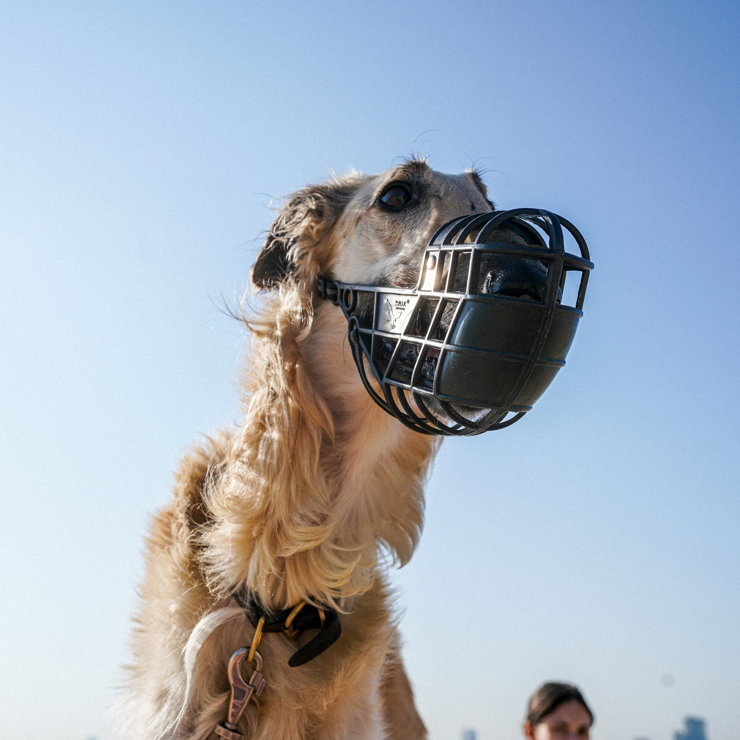 Отзывы. Фотограф Казань