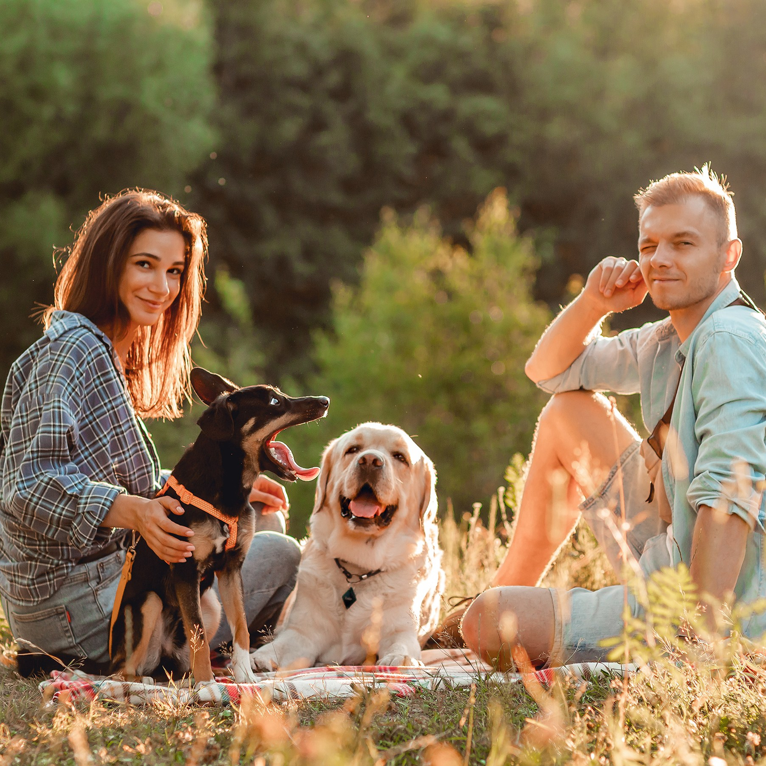 Наташа, Коля, Люк и Мартин