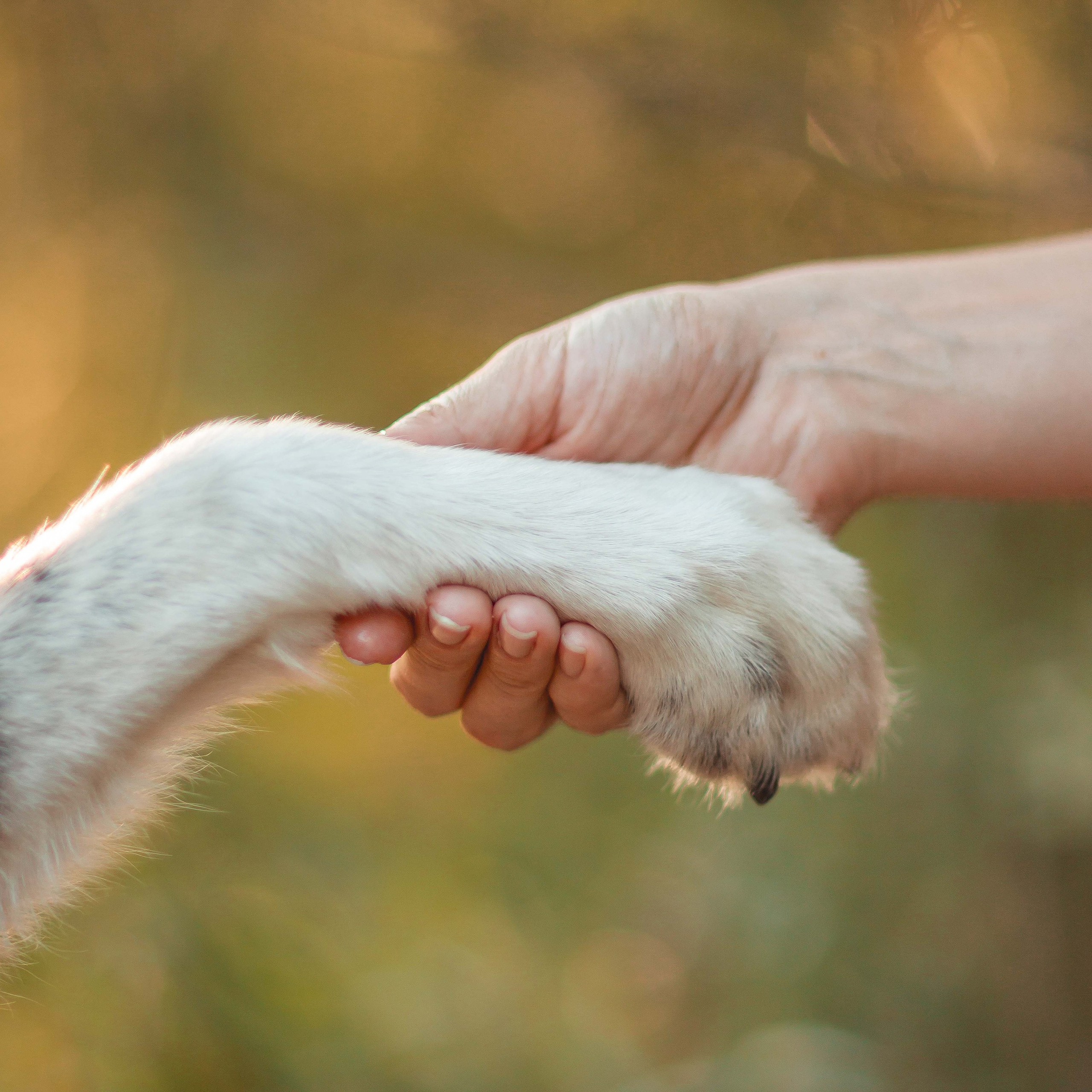 Космос и его люди