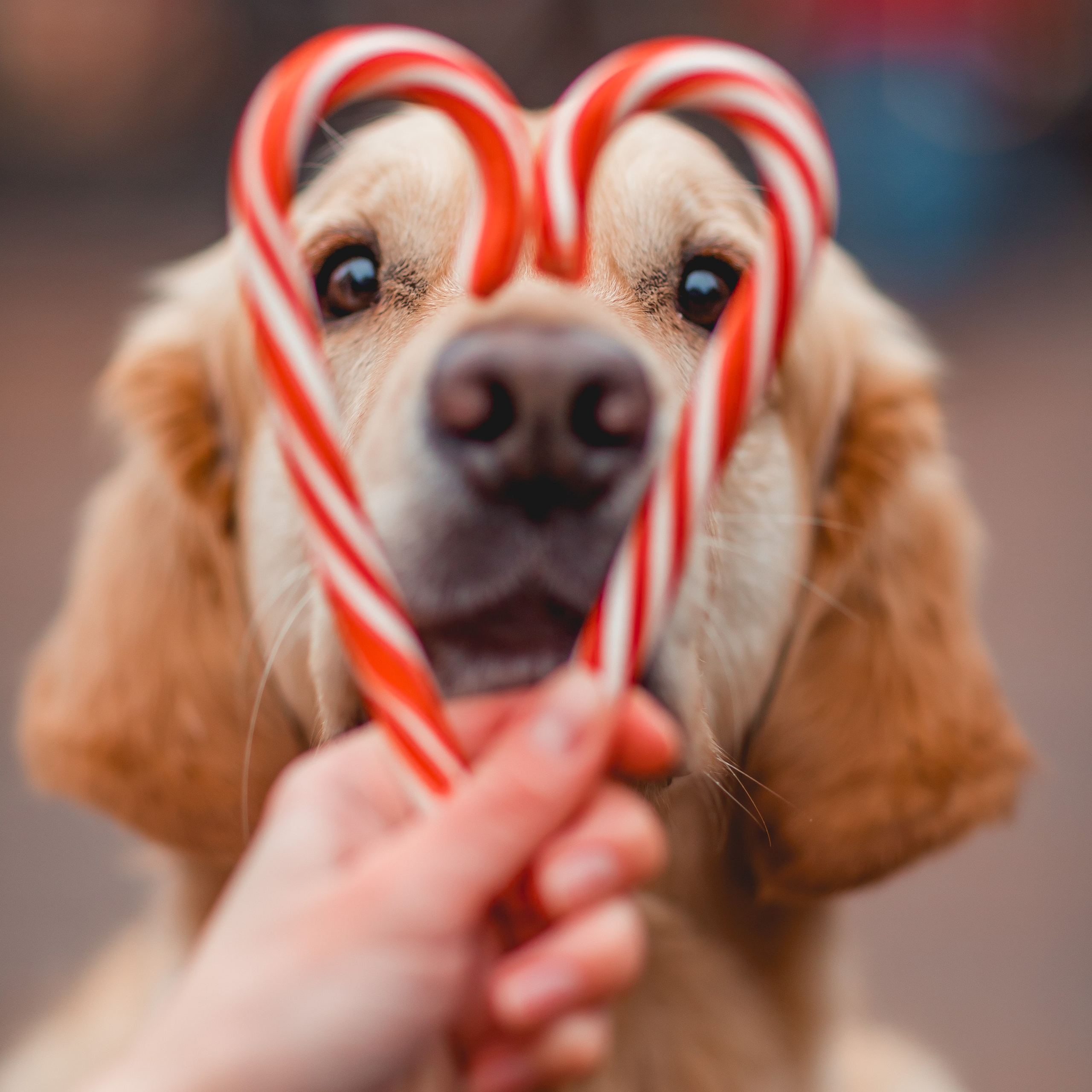 Марина и Чили