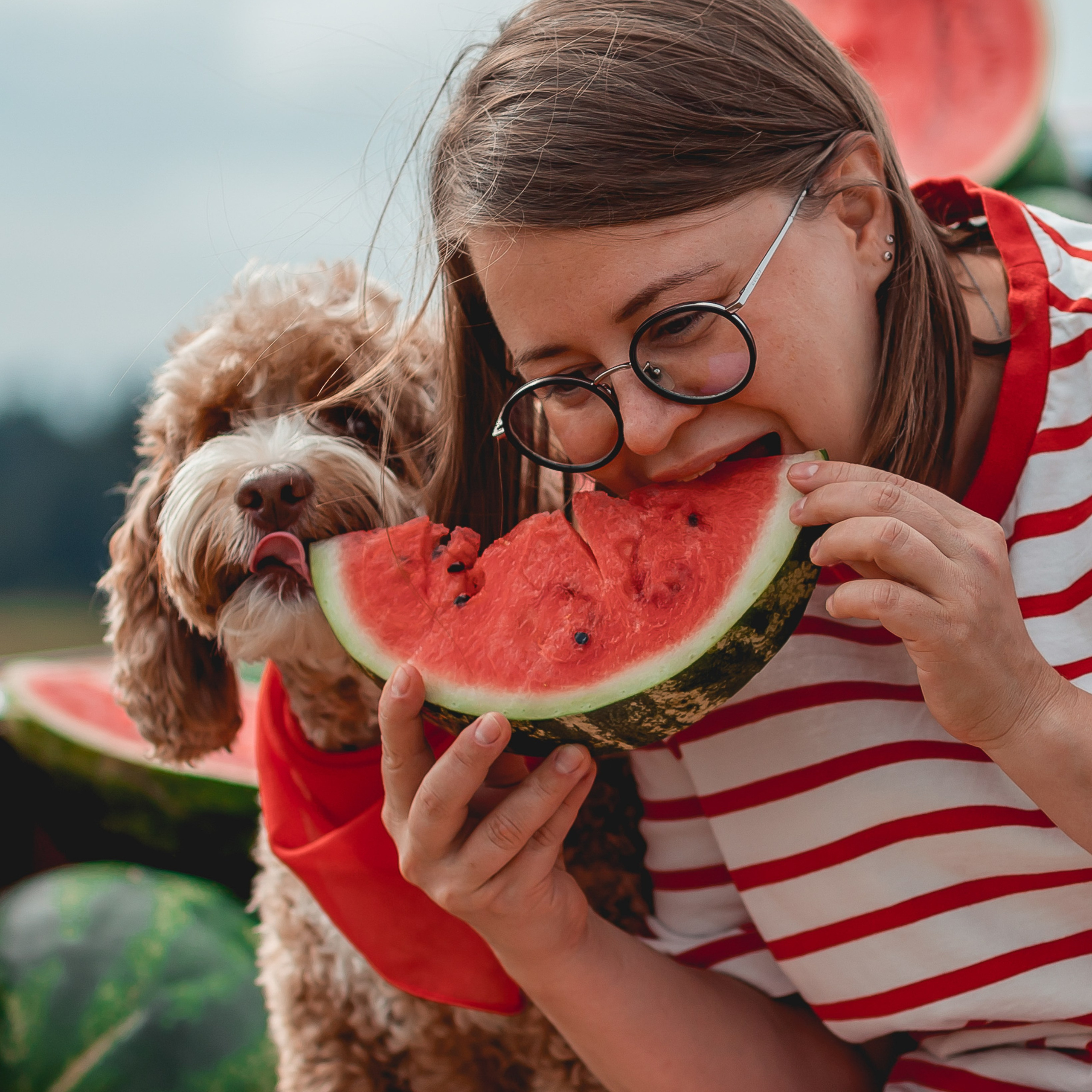 Алёна и Пенни в поле с арбузами