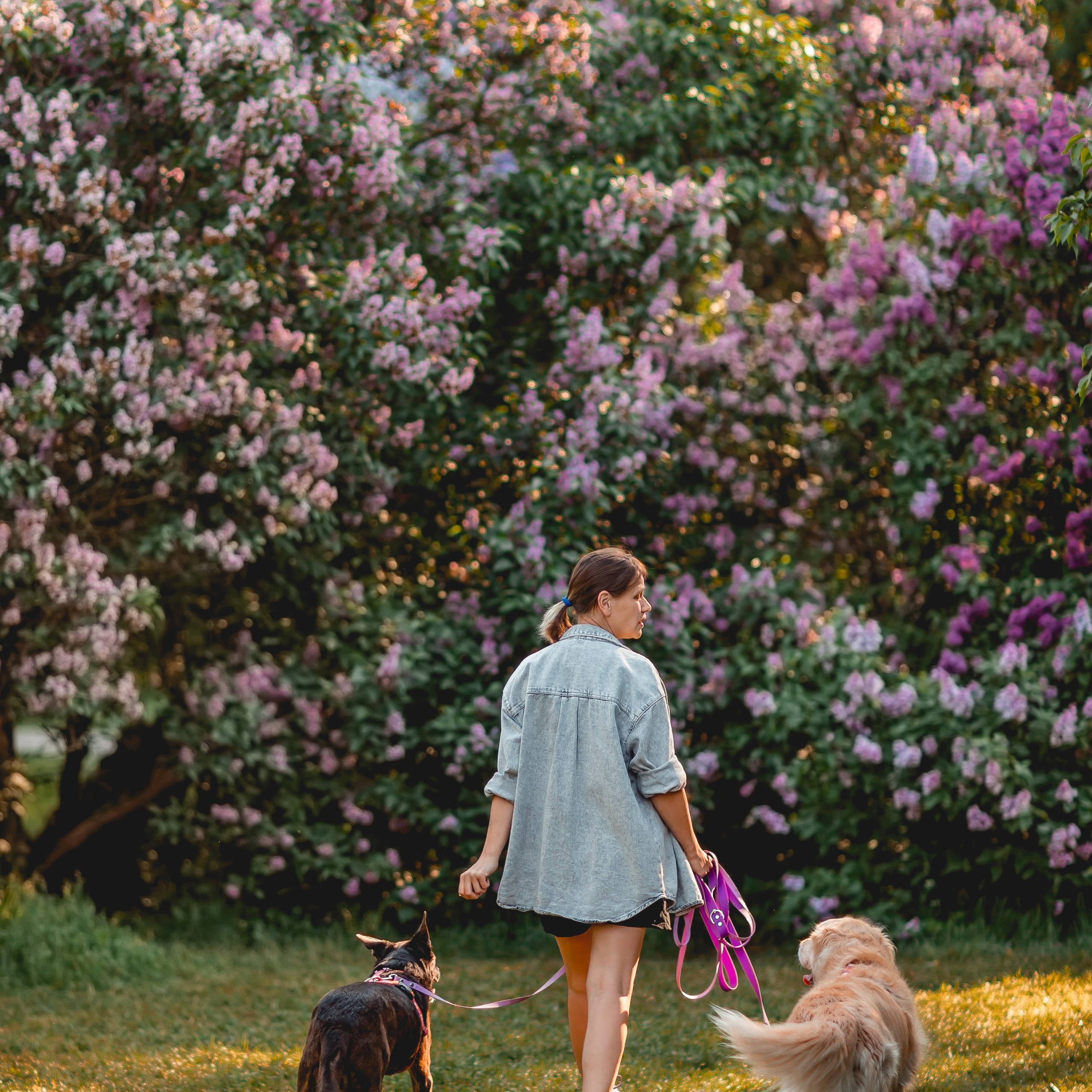 Ира, Альма и Белла