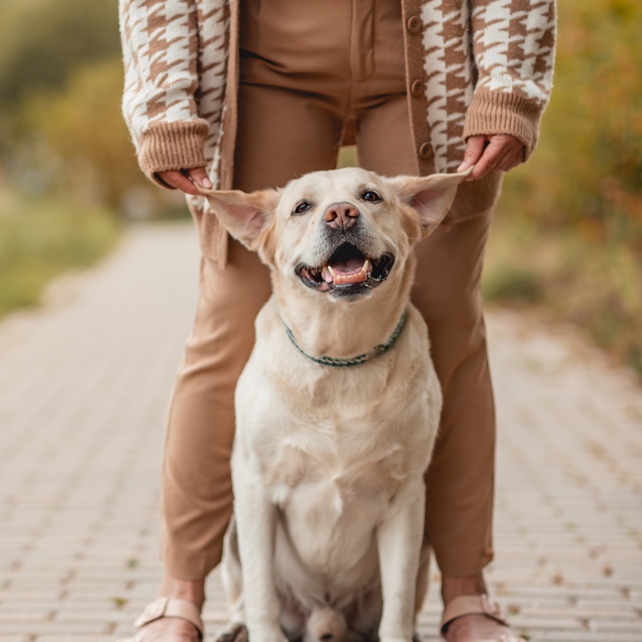Татьяна и Френ
