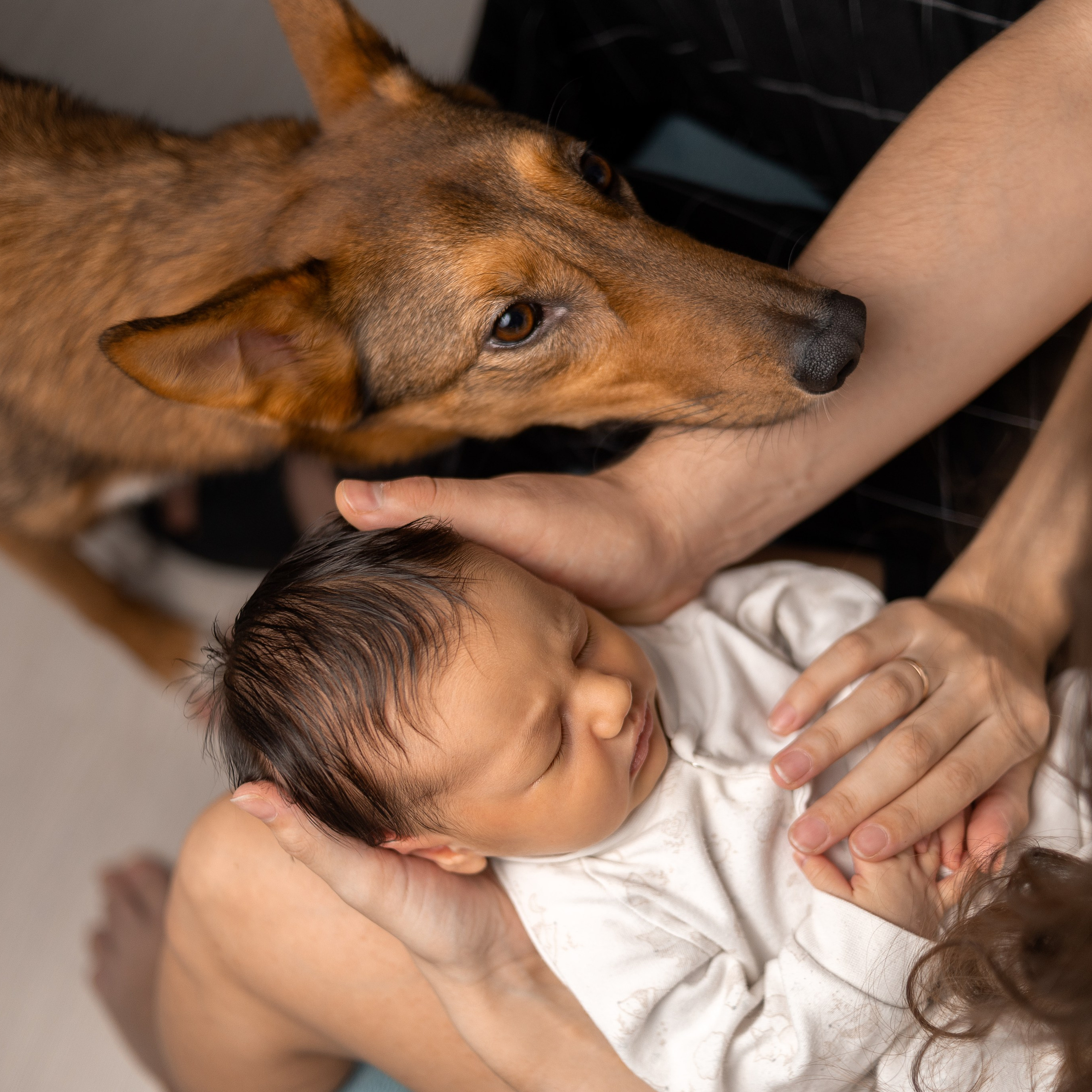 Фотограф новорожденных и семейный фотограф в Санкт-Петербурге