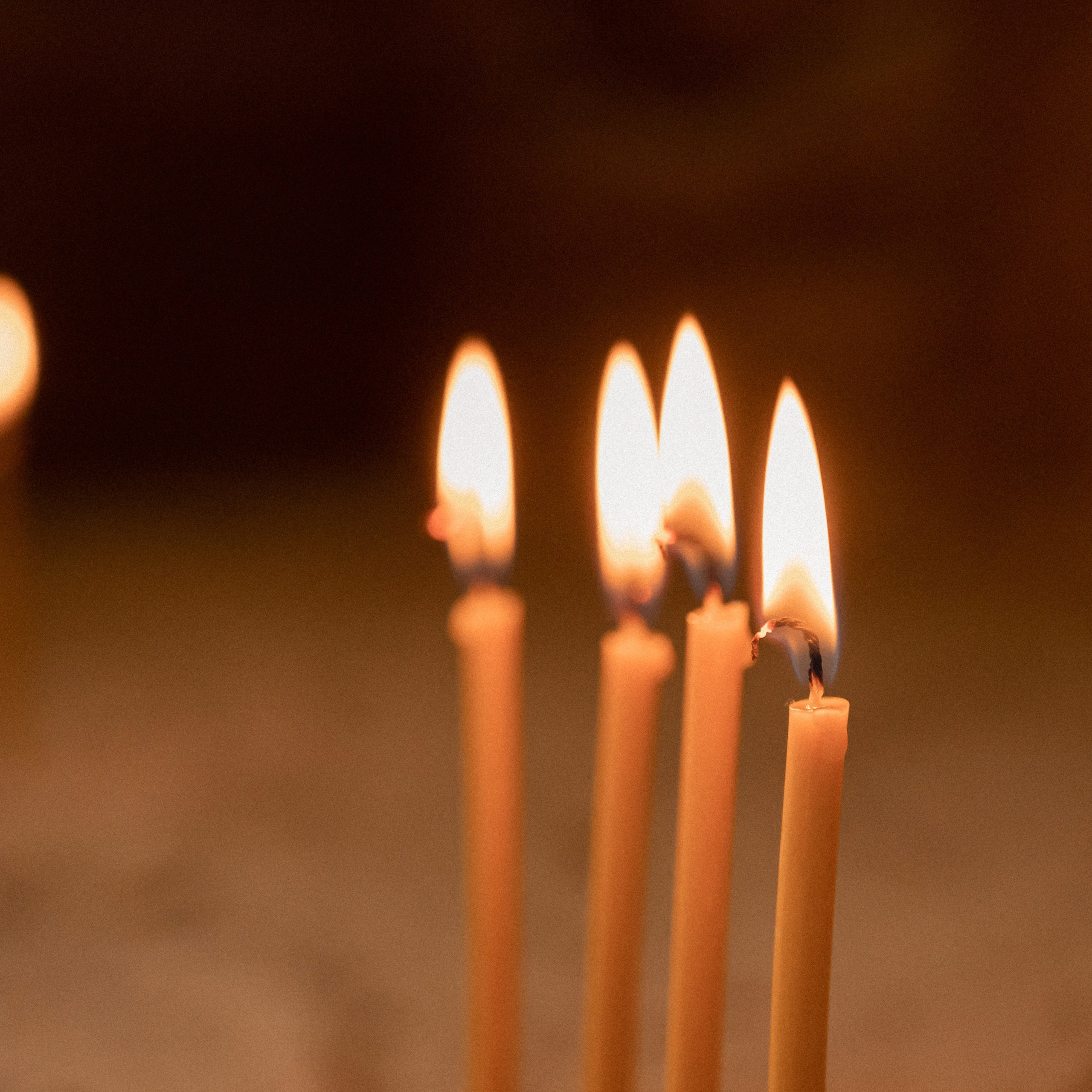 Отзывы. Свадебный фотограф в Краснодарском крае