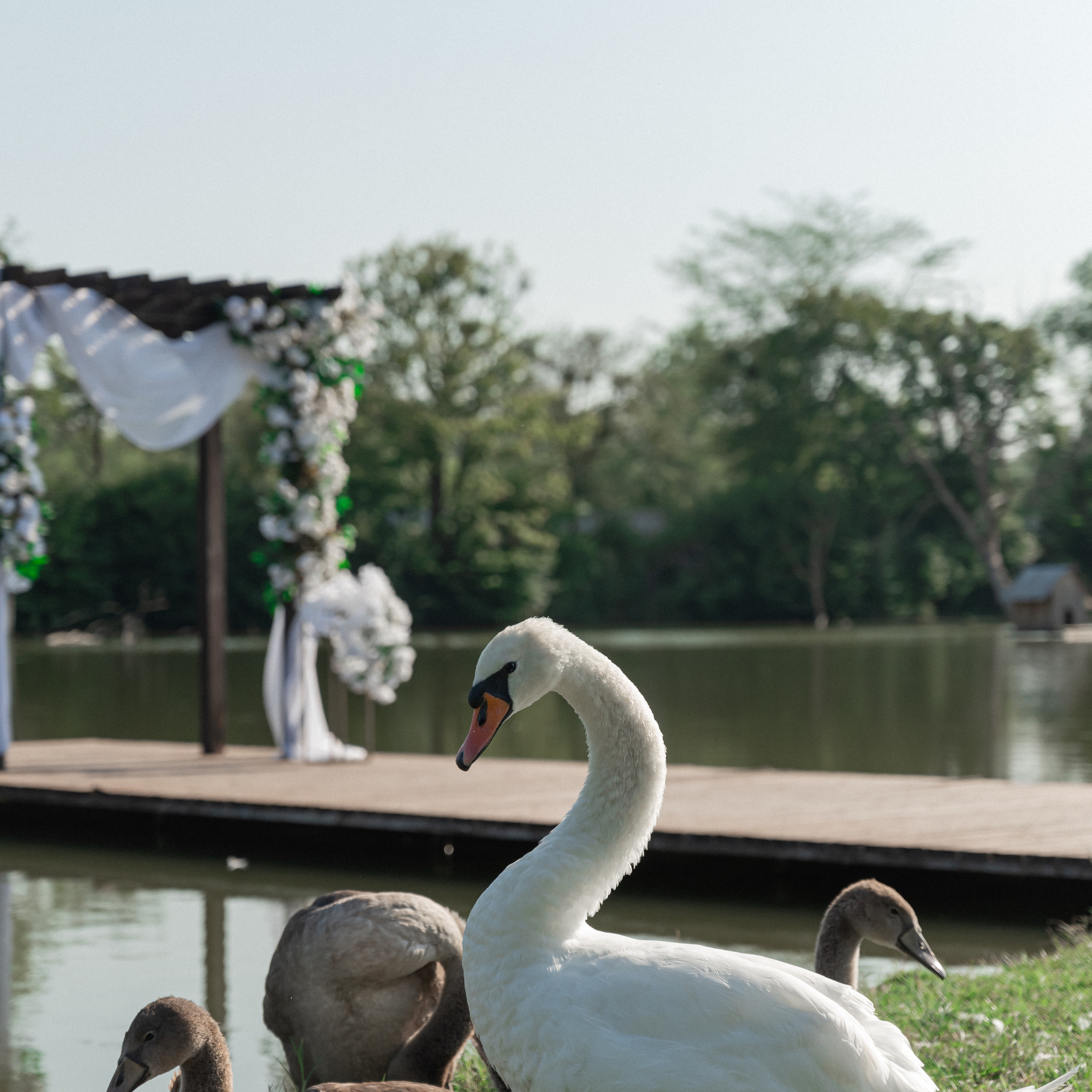 Свадебный день Маргариты и Павла. Свадебный фотограф в Краснодарском крае