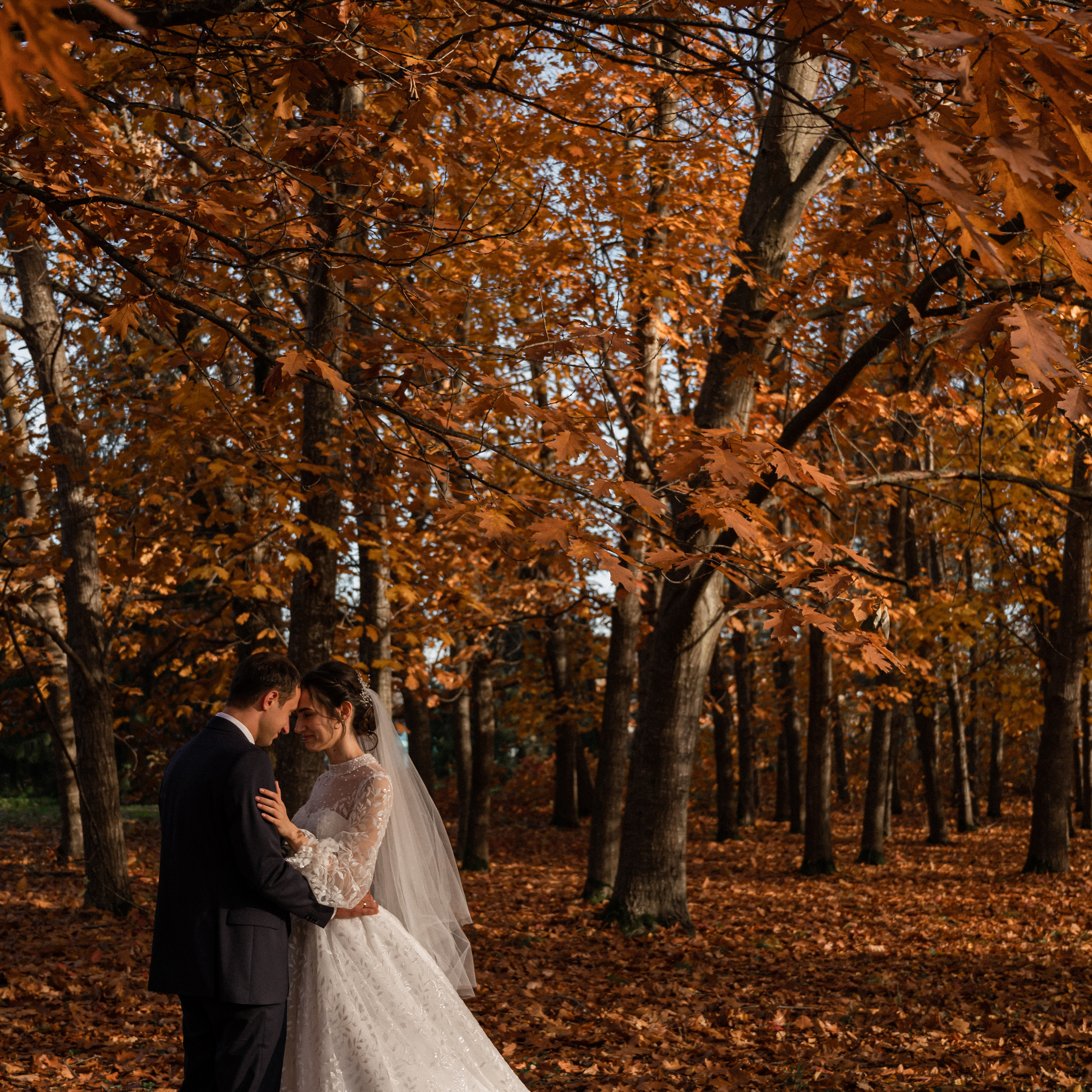 Иван и Амалия. Свадебный фотограф в Краснодарском крае