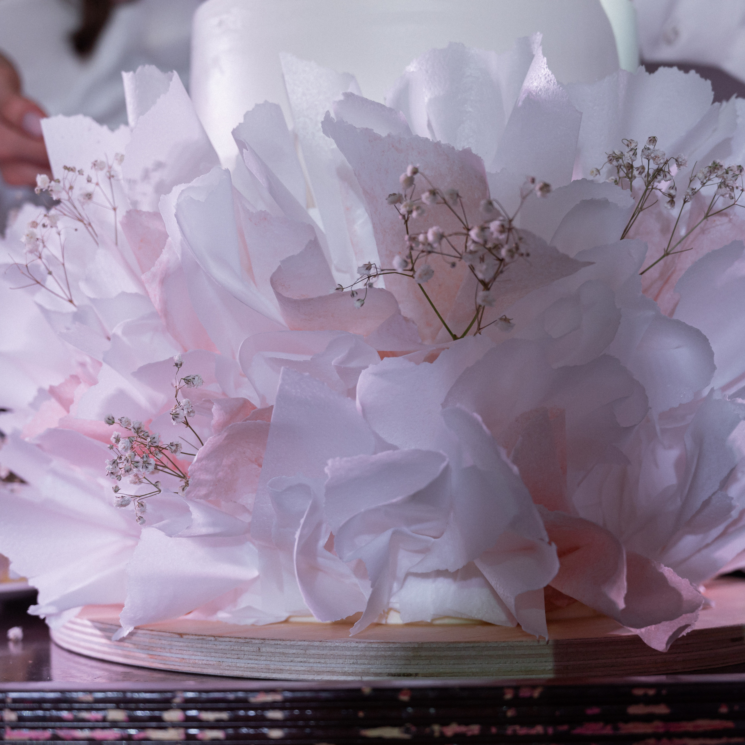 Александр & Екатерина. Свадебный фотограф в Краснодарском крае