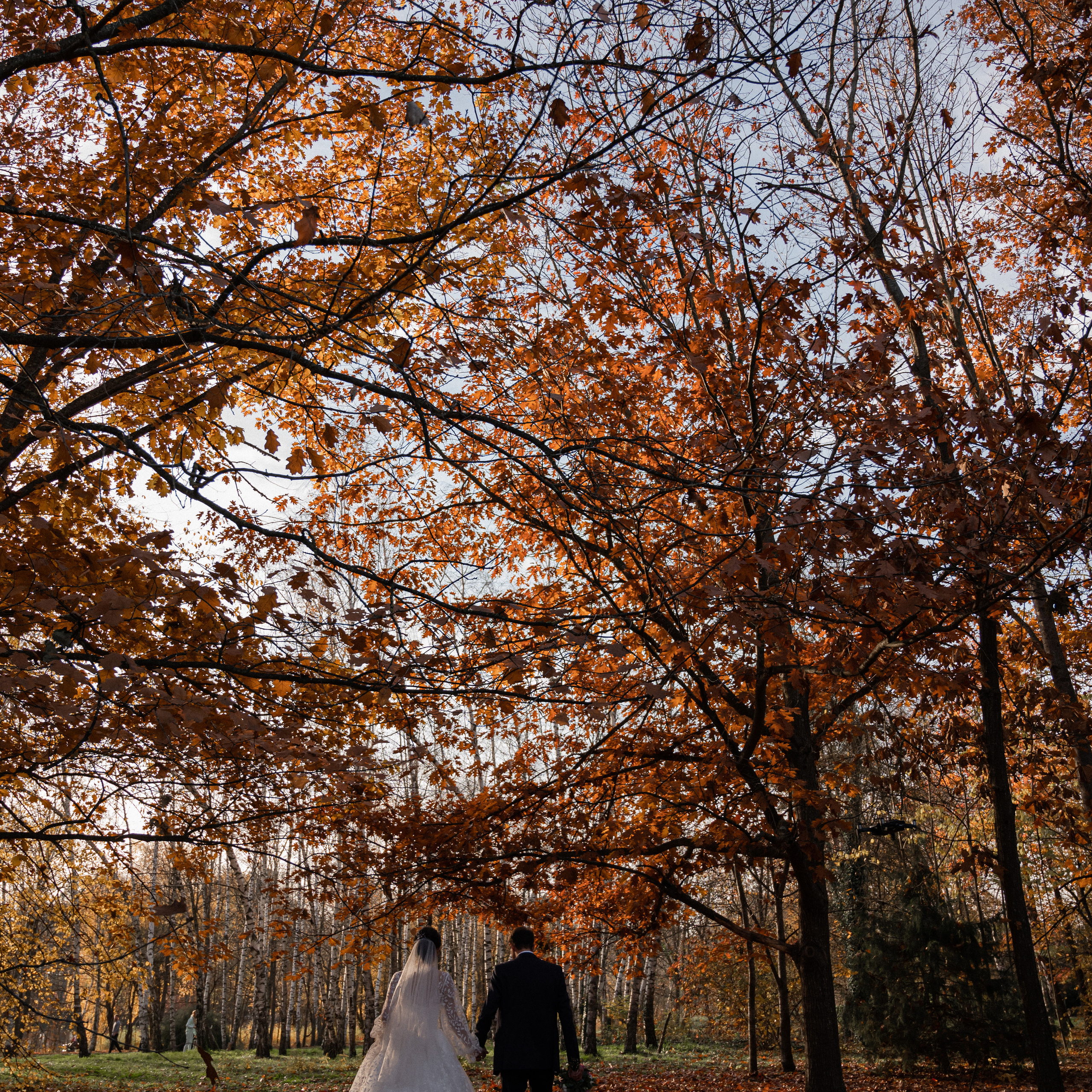 Иван и Амалия. Свадебный фотограф в Краснодарском крае