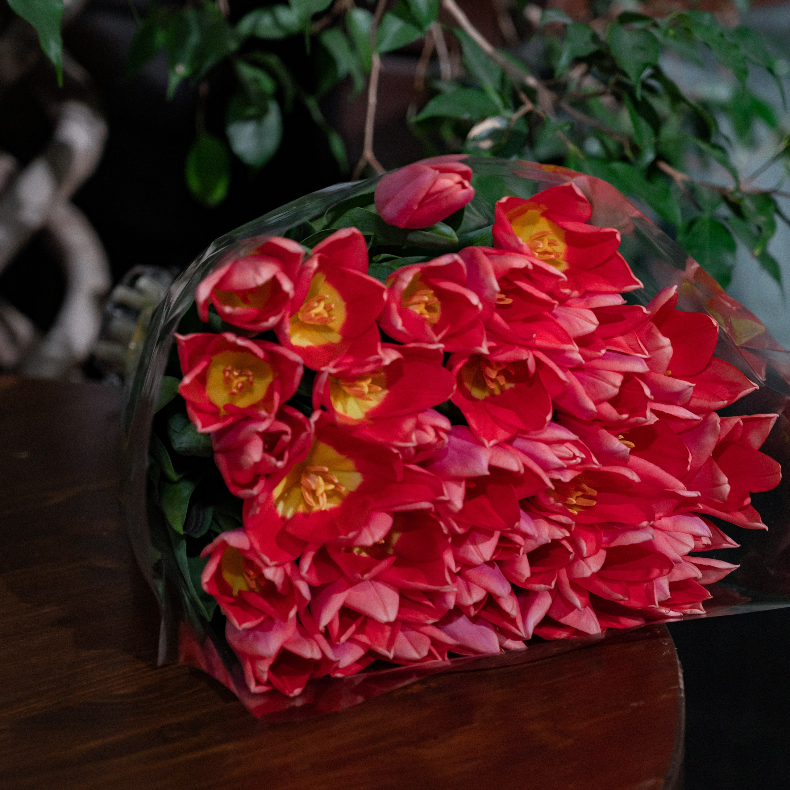 Отзывы. Свадебный фотограф в Краснодарском крае