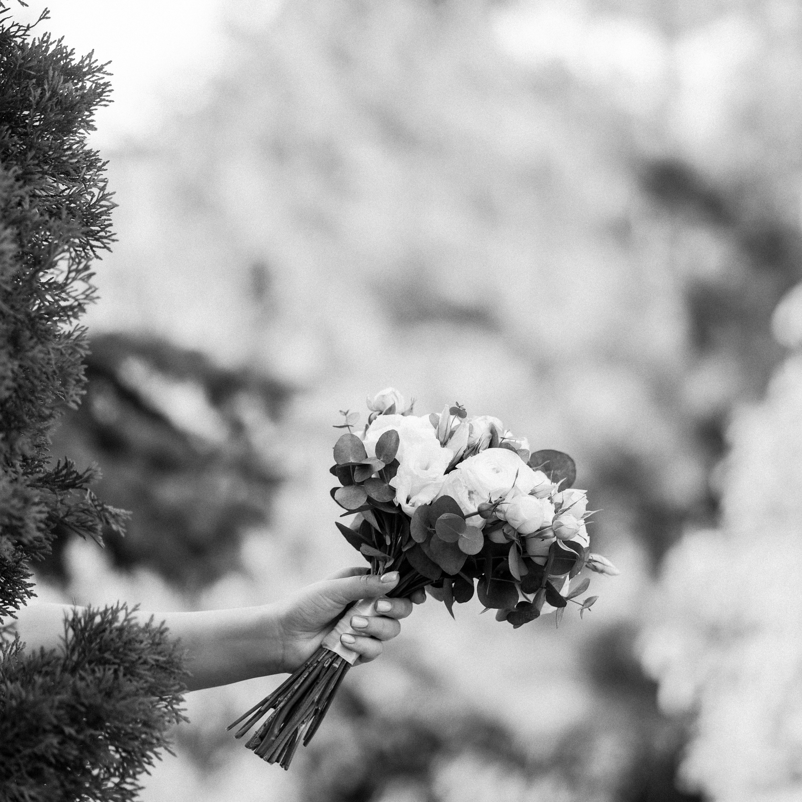 Владислав и Валерия. Свадебный фотограф в Краснодарском крае