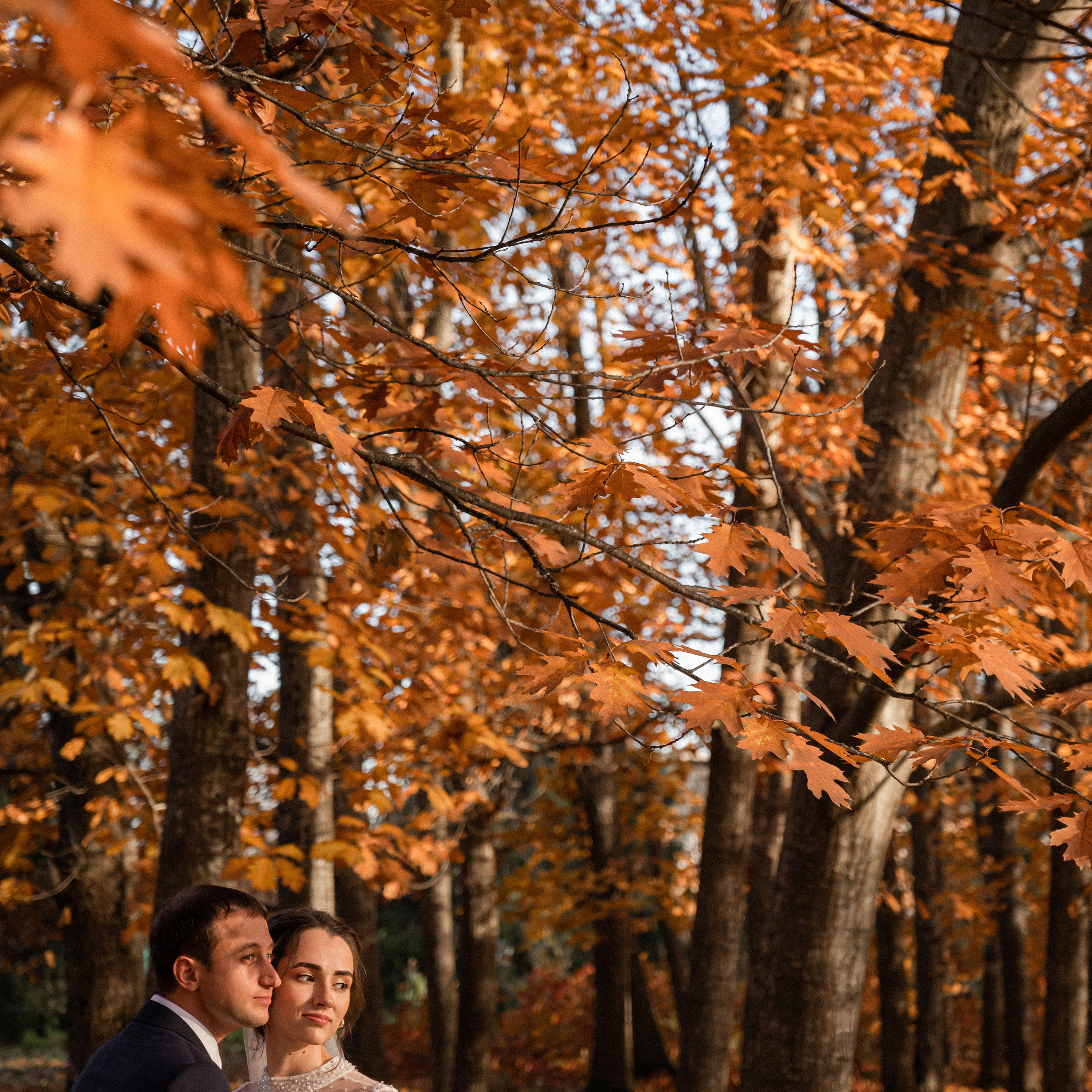 Иван и Амалия. Свадебный фотограф в Краснодарском крае