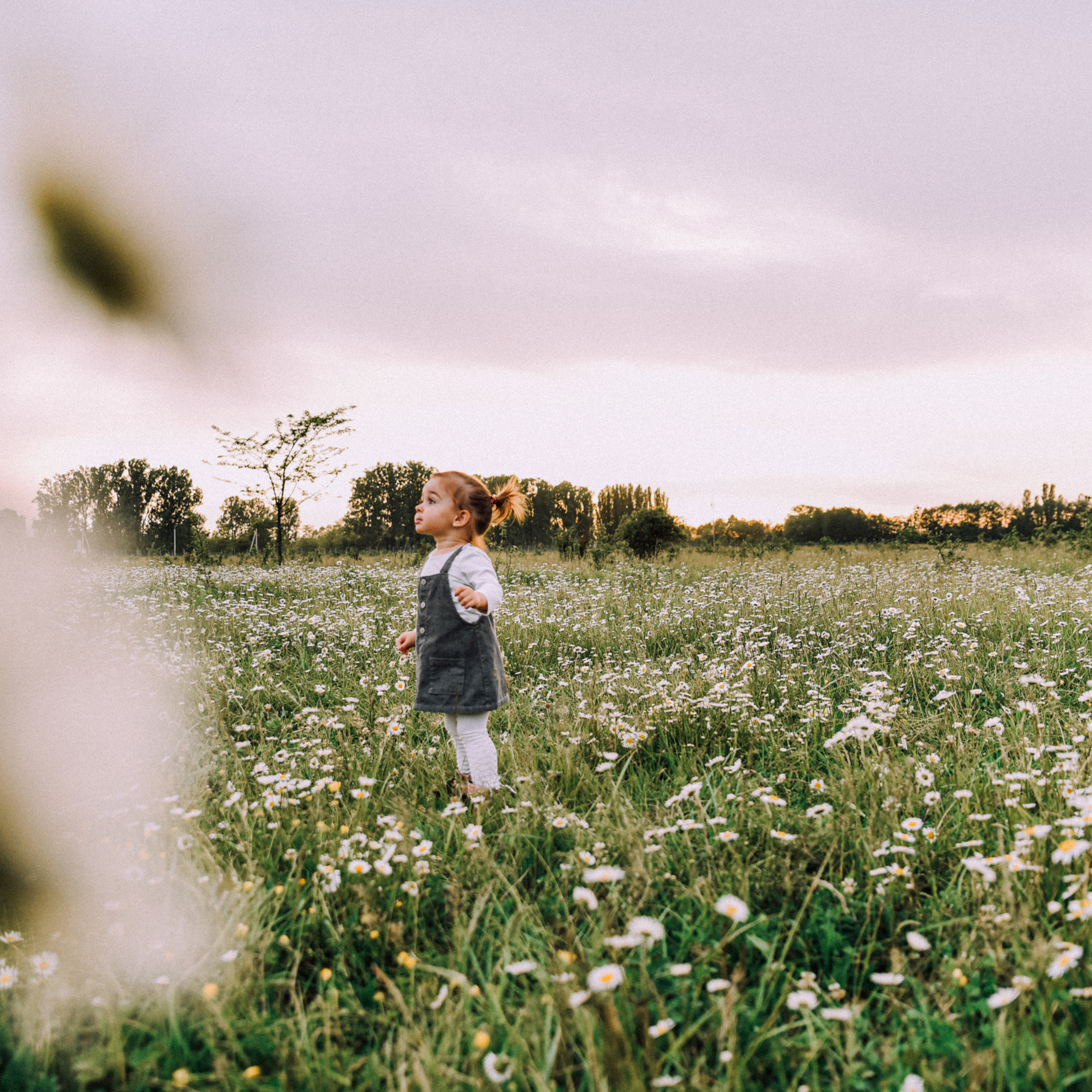 Свобода…. Свадебный фотограф в Краснодарском крае