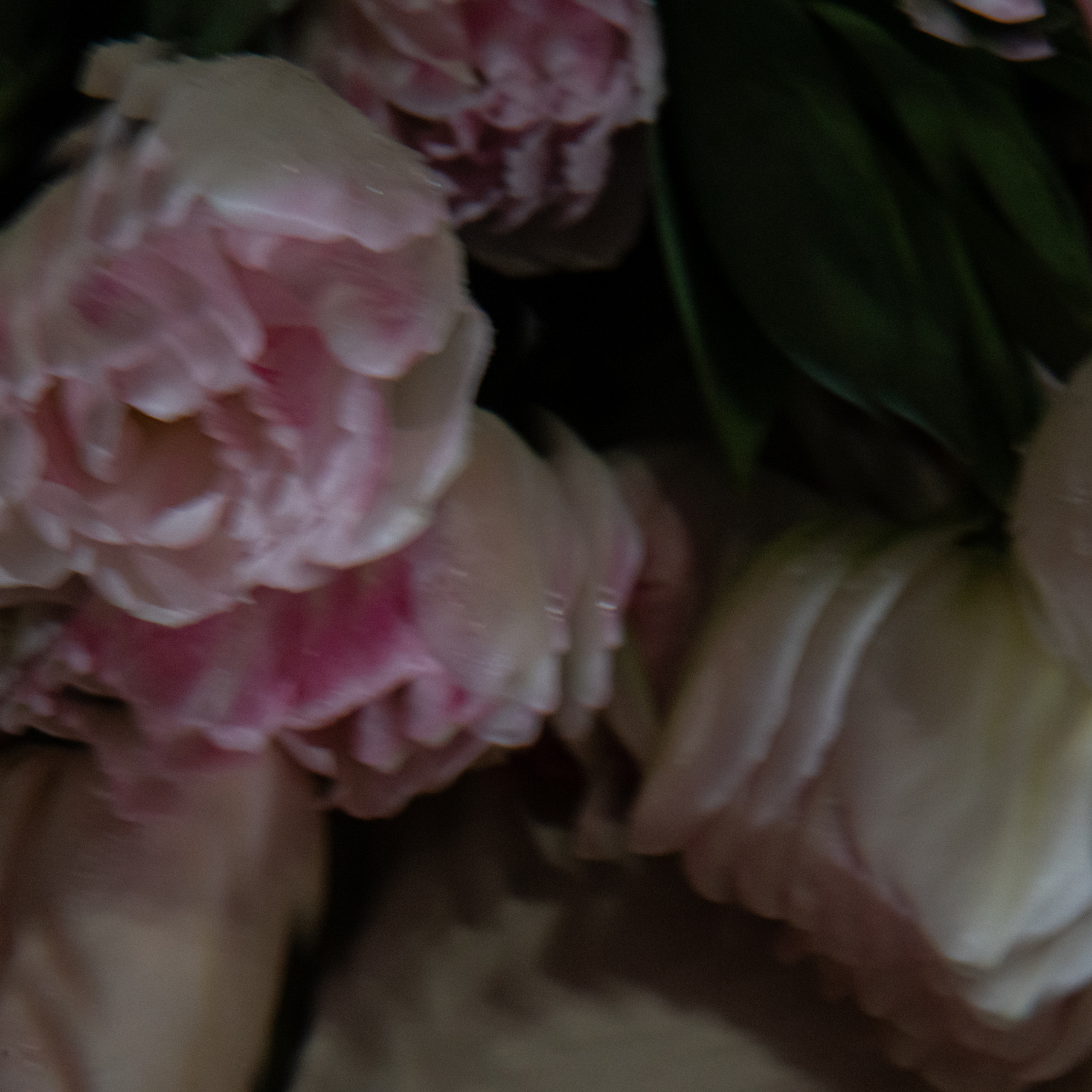 Отзывы. Свадебный фотограф в Краснодарском крае