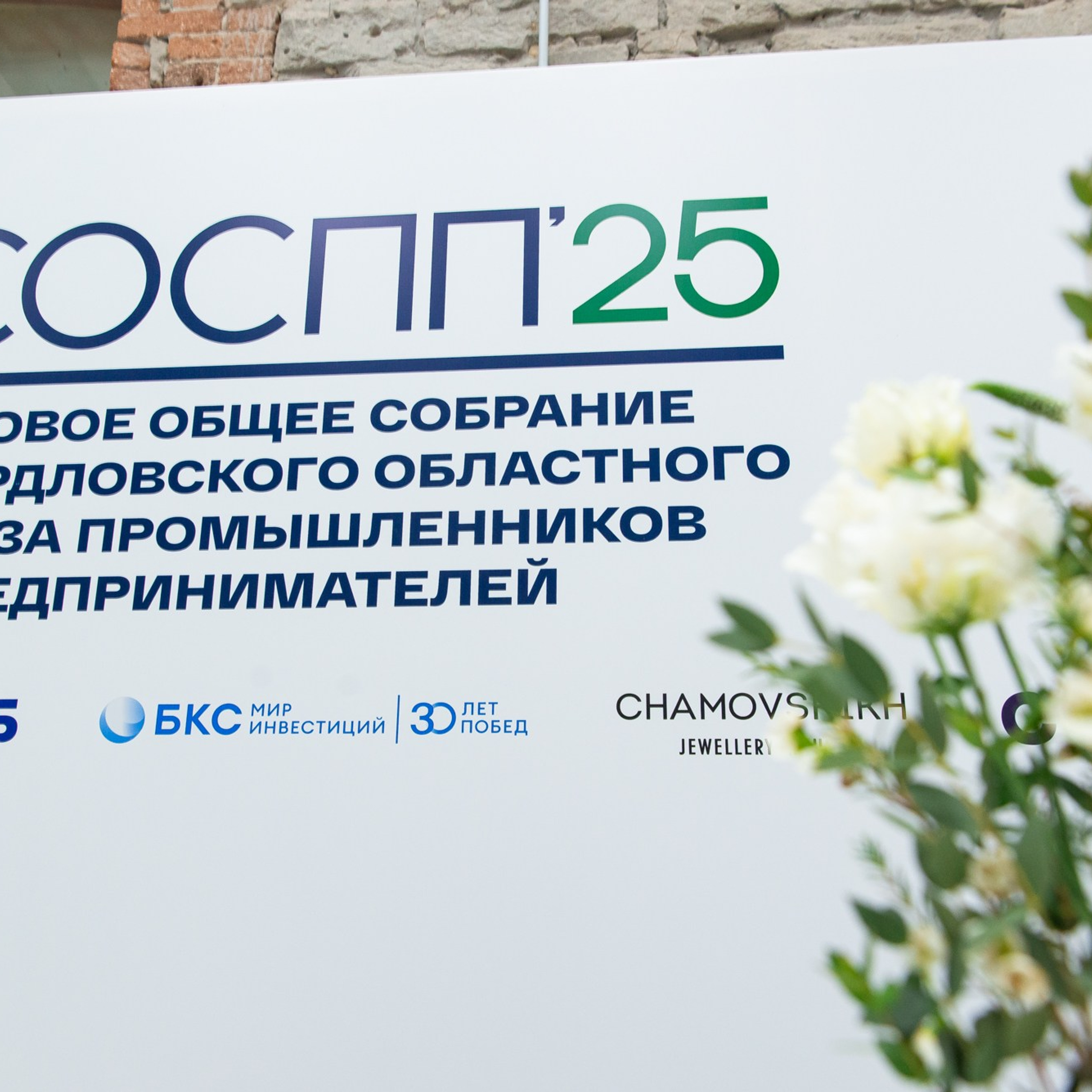 Годовое общее собрание СОСПП