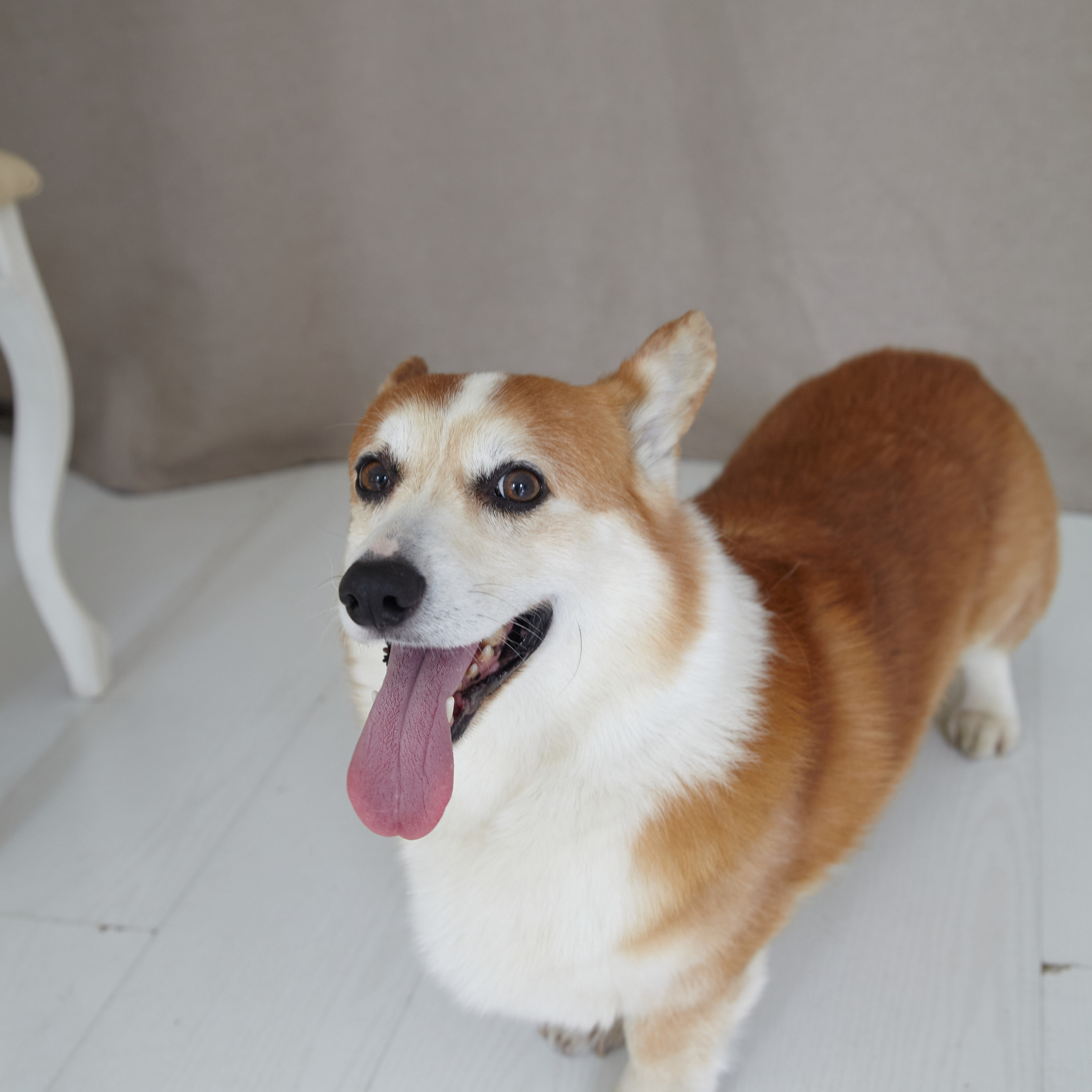 ОТЗЫВЫ. Фотограф и видеограф в Санкт-Петербурге Прилепин Слава